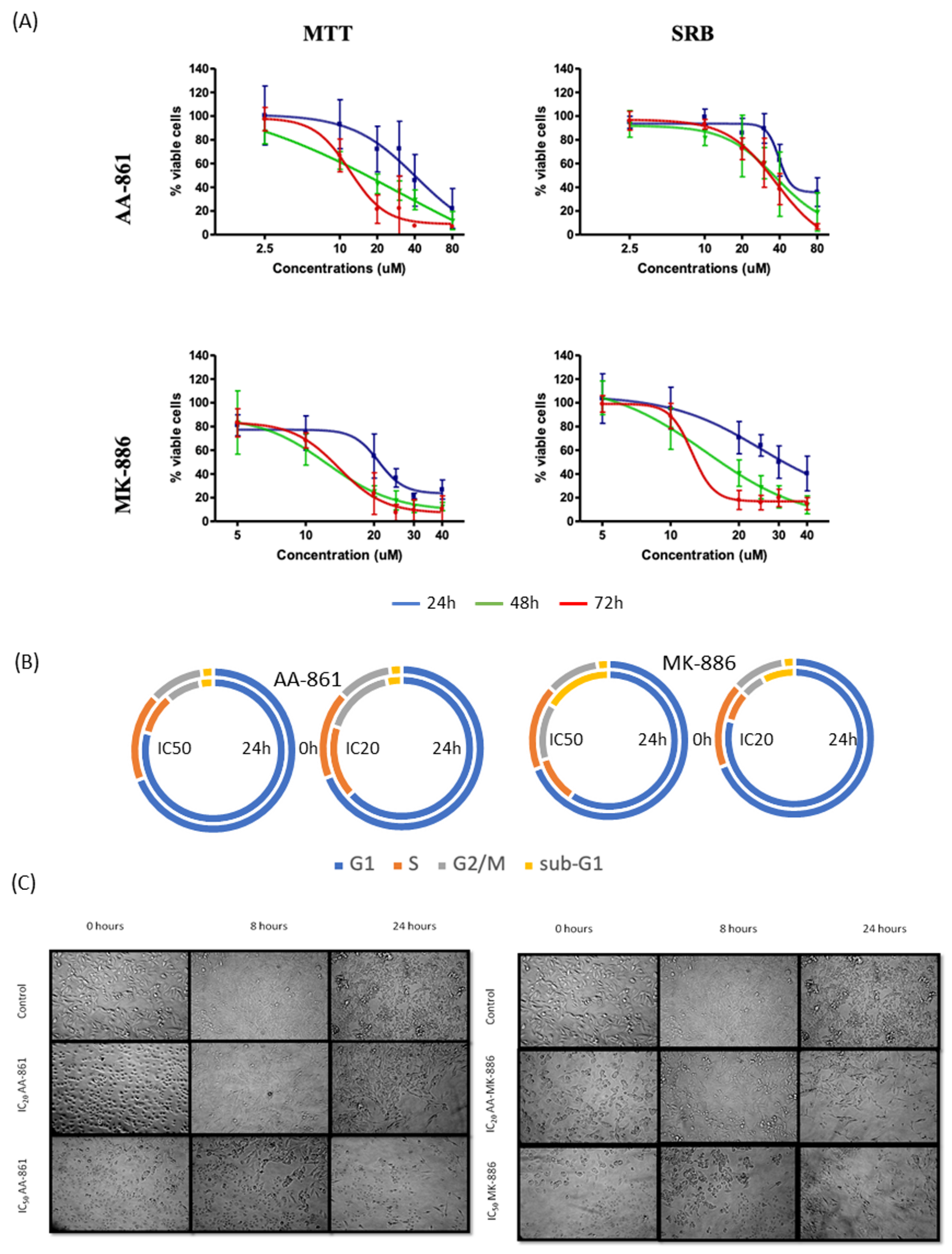 Ijms 22 06498 g006 Ijms 22 06498 g006
