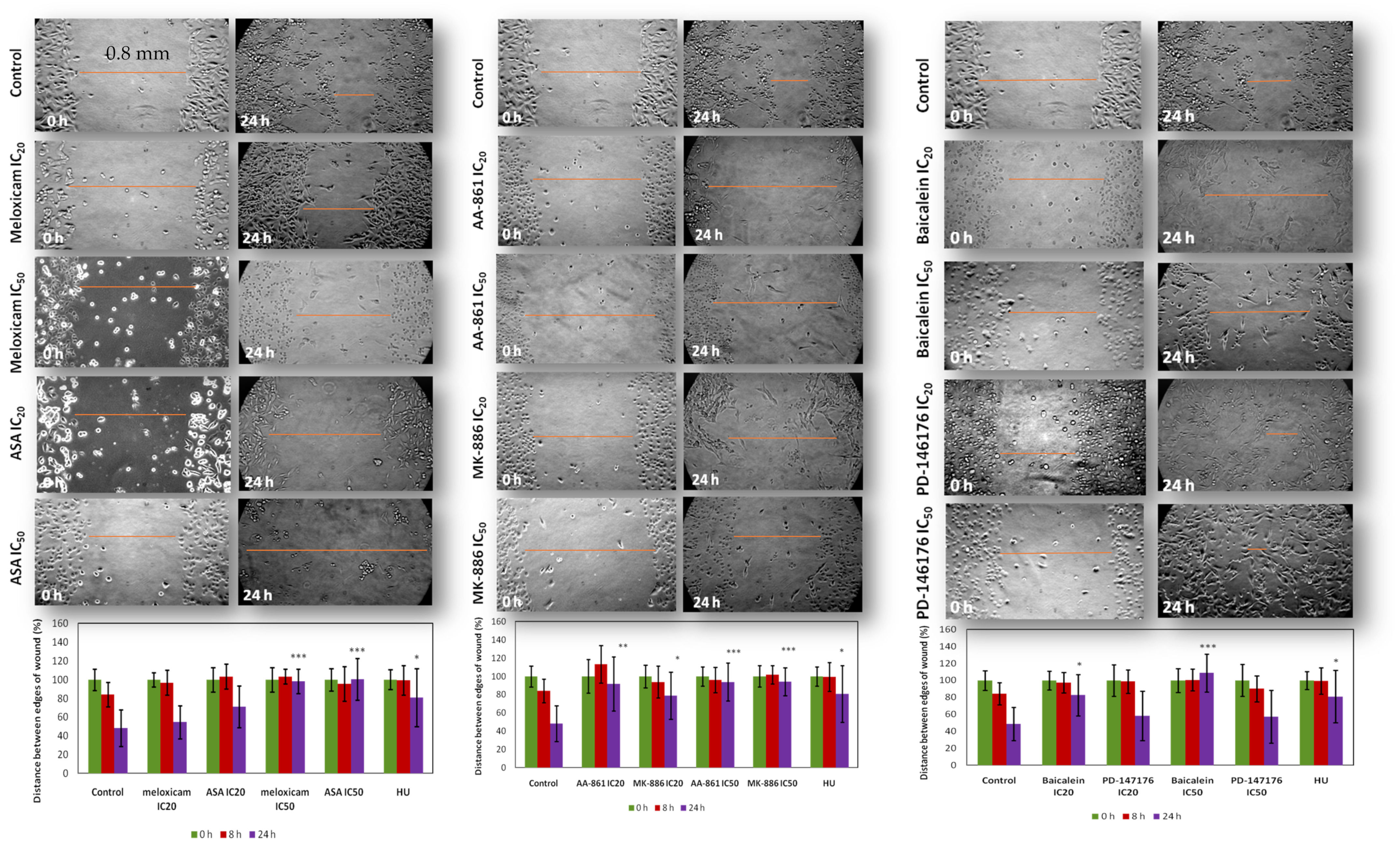 Ijms 22 06498 g010 Ijms 22 06498 g010