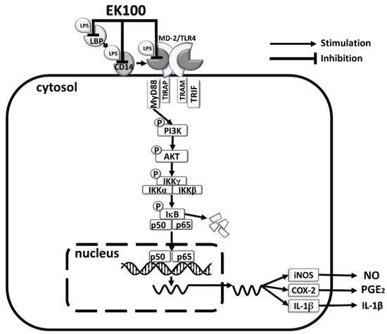 Copper-infused fabrics reduce LPS induced NF-κB and IRF3 activation.