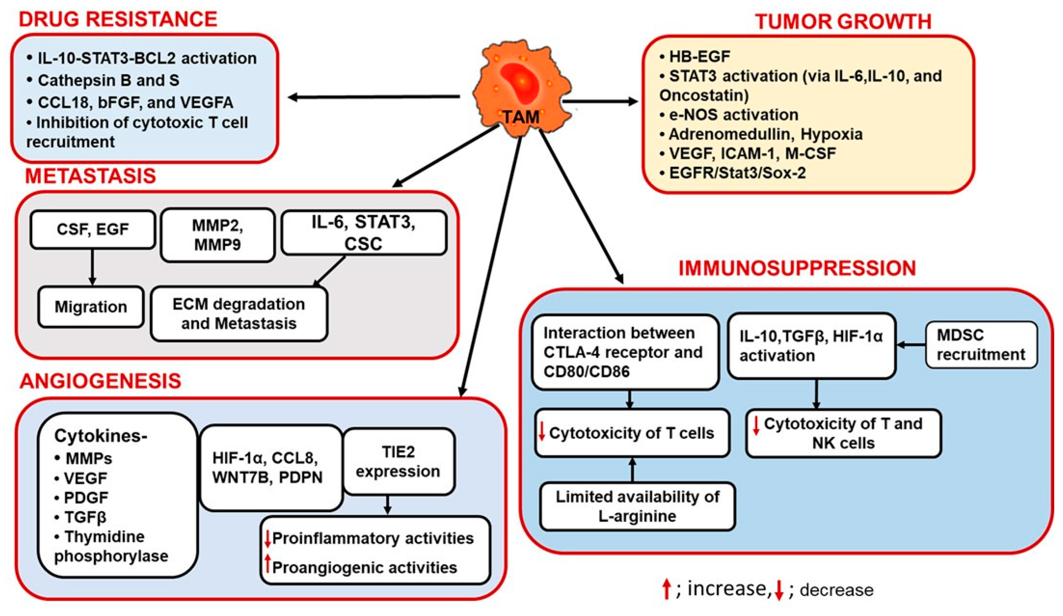 Ijms 22 06526 g002 Ijms 22 06526 g002