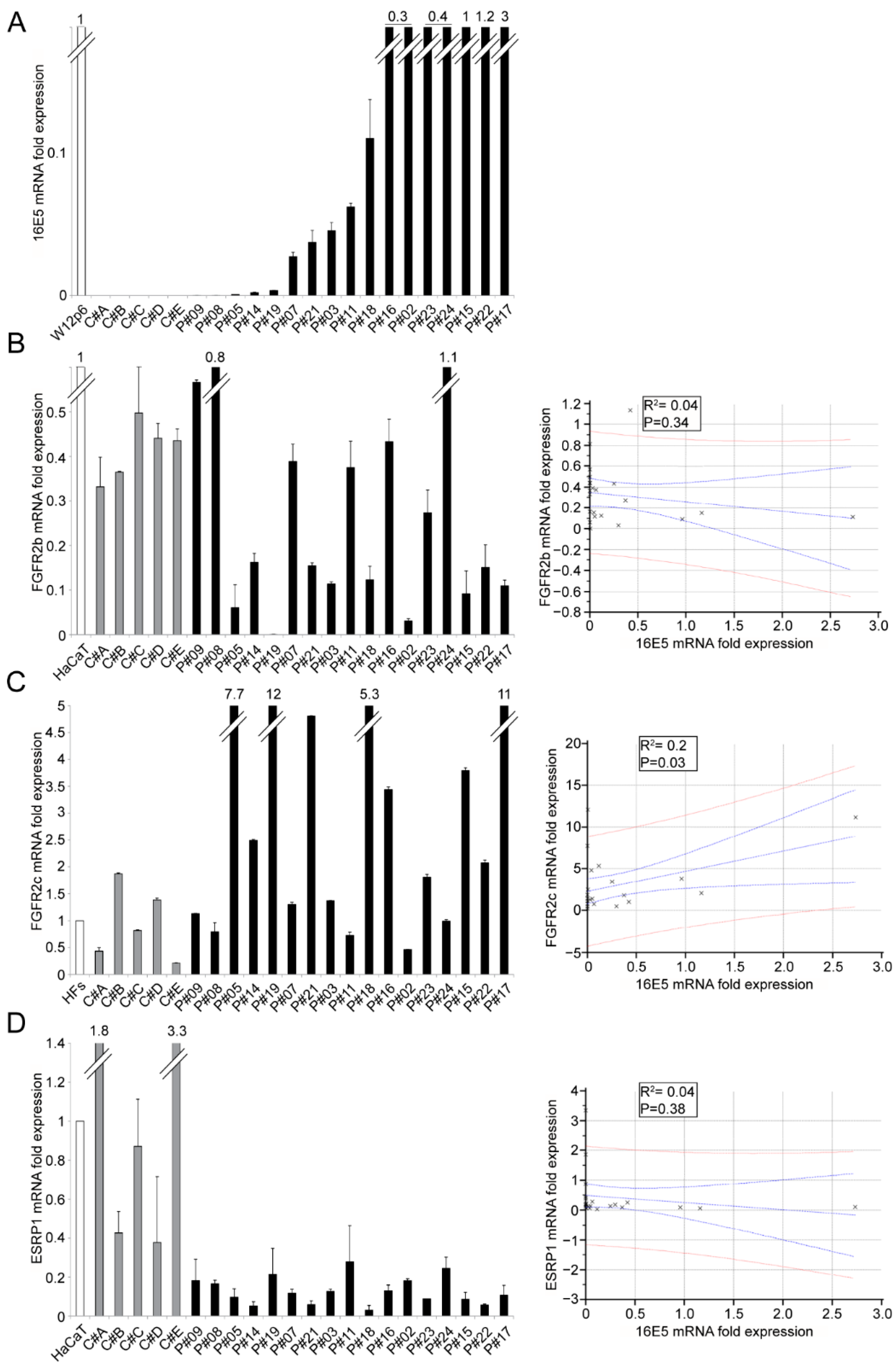 Ijms 22 06534 g001 Ijms 22 06534 g001