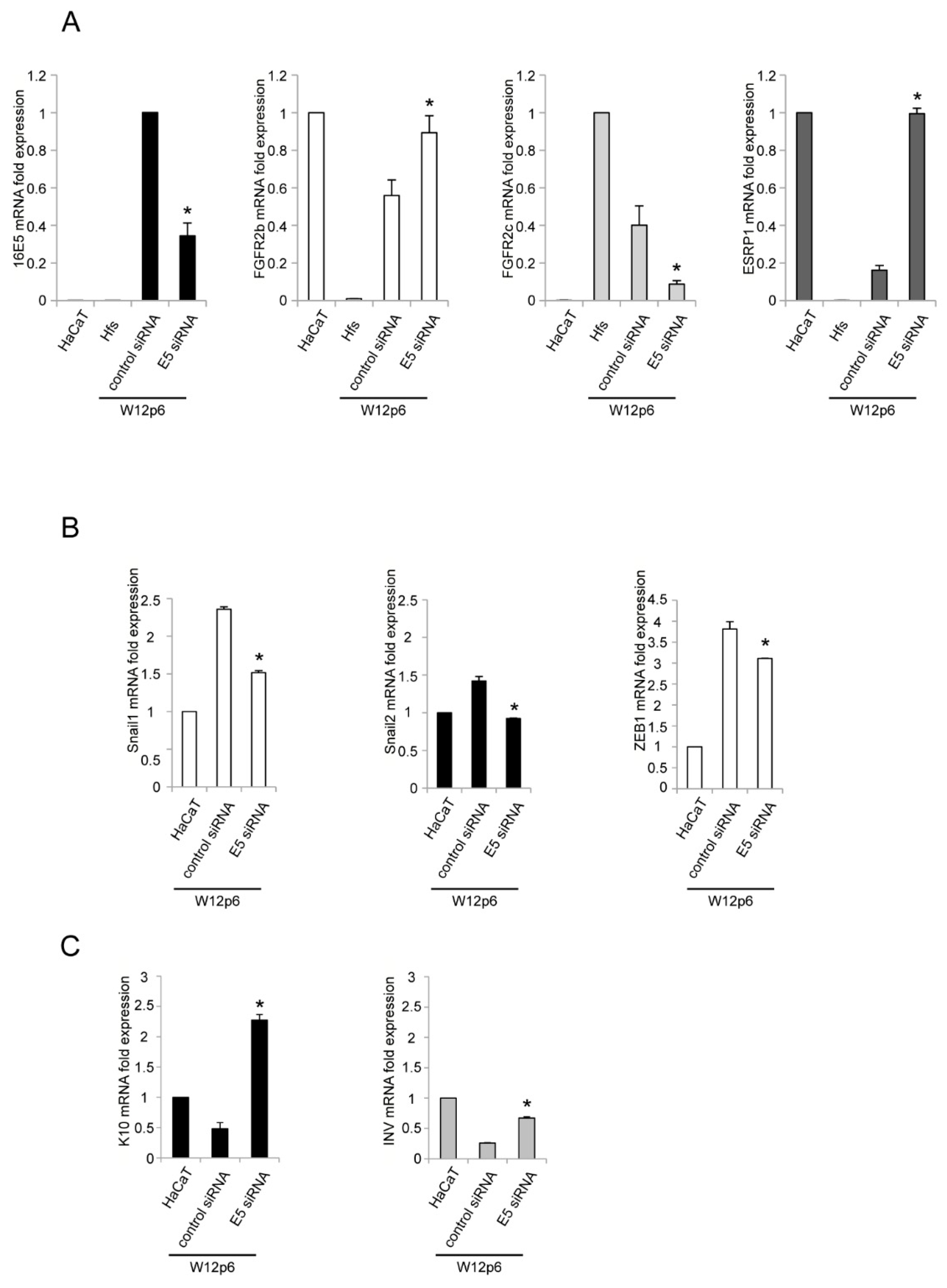 Ijms 22 06534 g002 Ijms 22 06534 g002