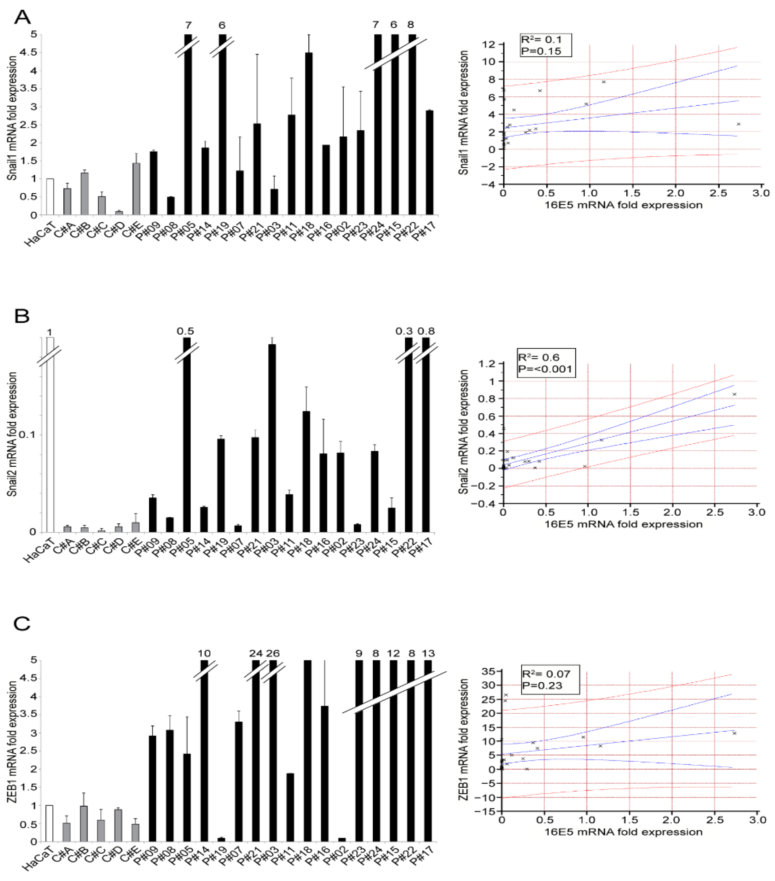 Ijms 22 06534 g003 Ijms 22 06534 g003