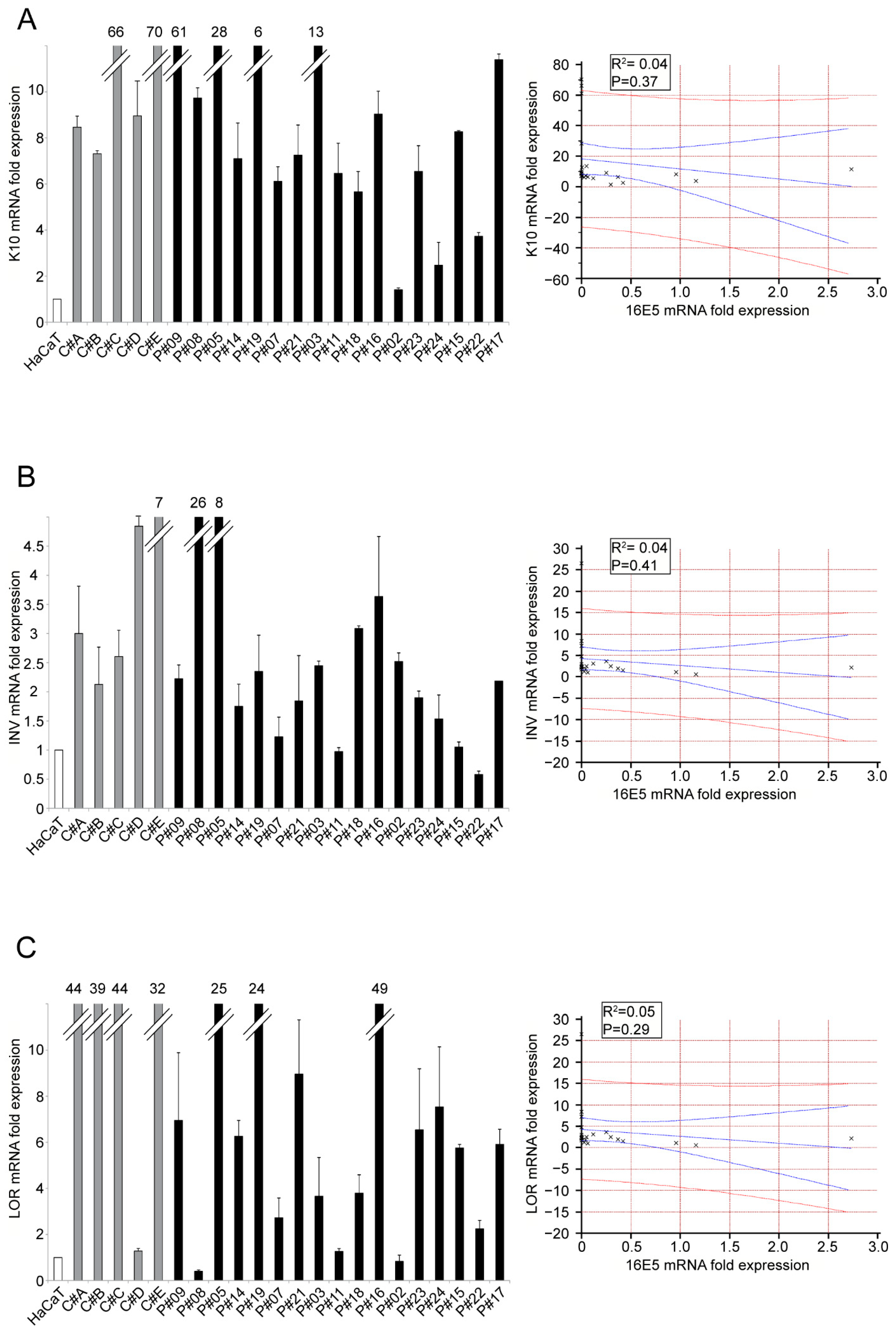 Ijms 22 06534 g004 Ijms 22 06534 g004