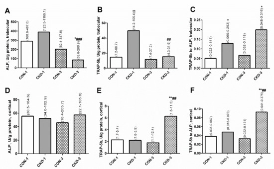 Ijms Free Full Text Paracrine Kynurenic Pathway Activation In The