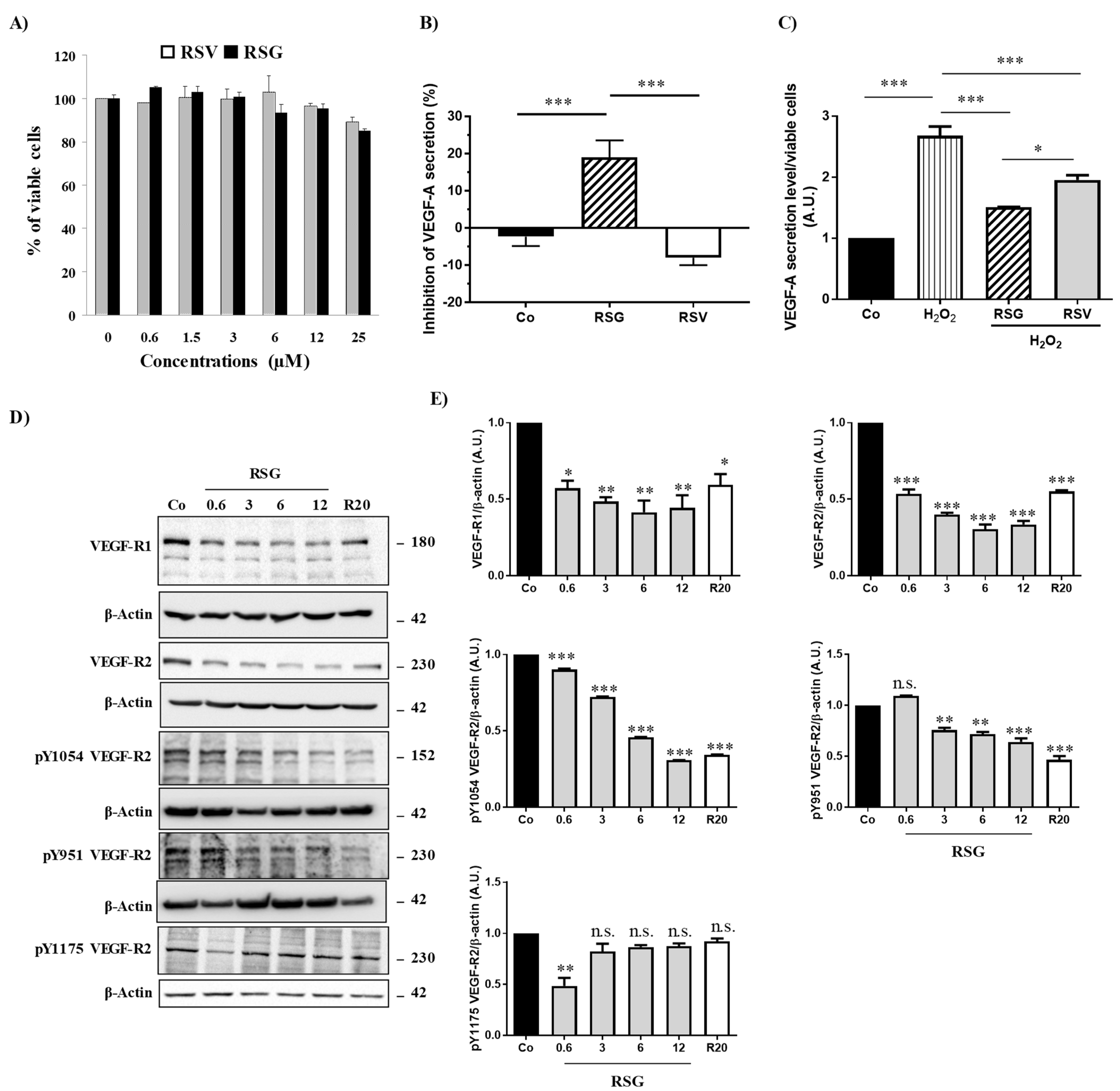 Ijms 22 06590 g001 Ijms 22 06590 g001