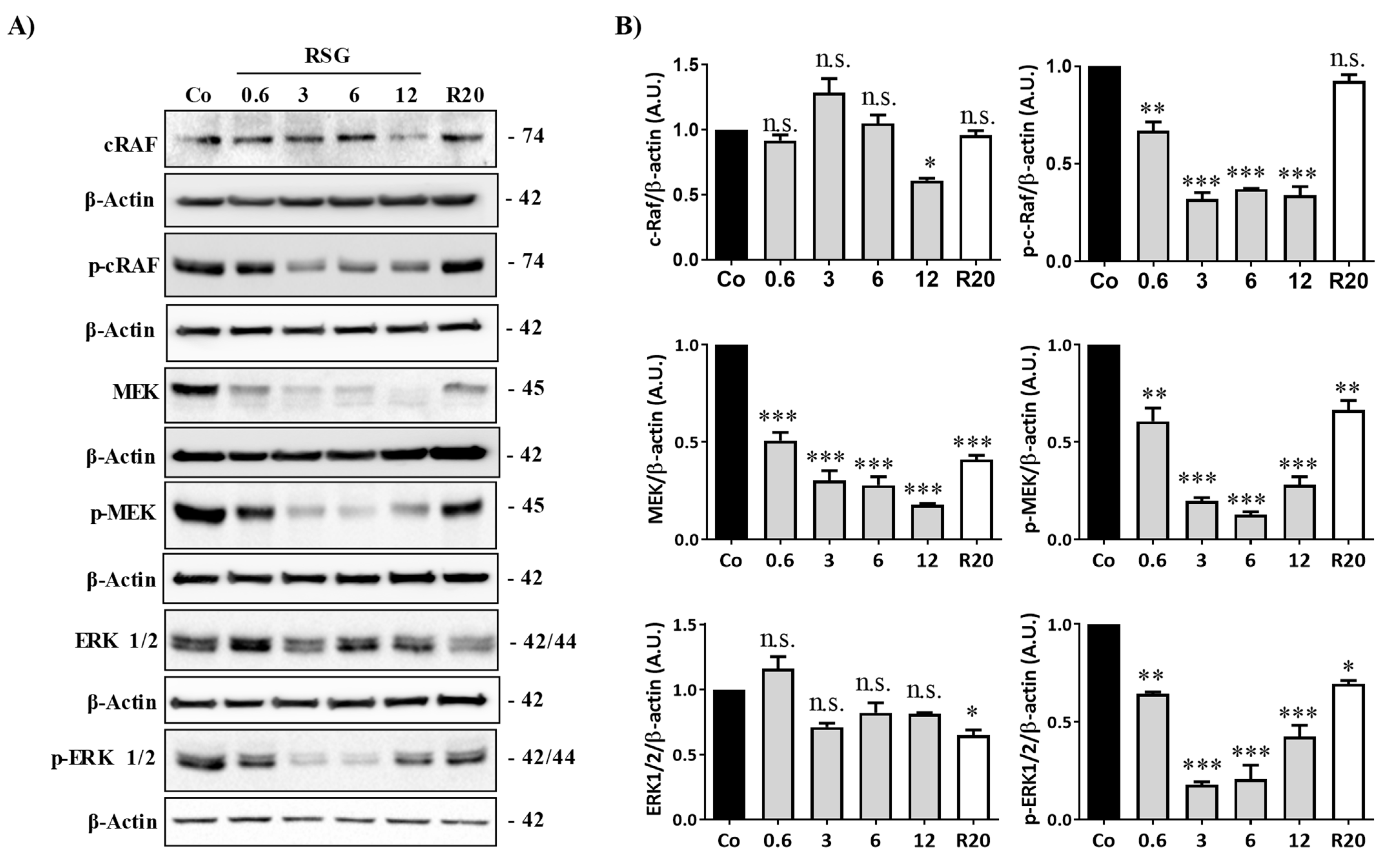 Ijms 22 06590 g003 Ijms 22 06590 g003