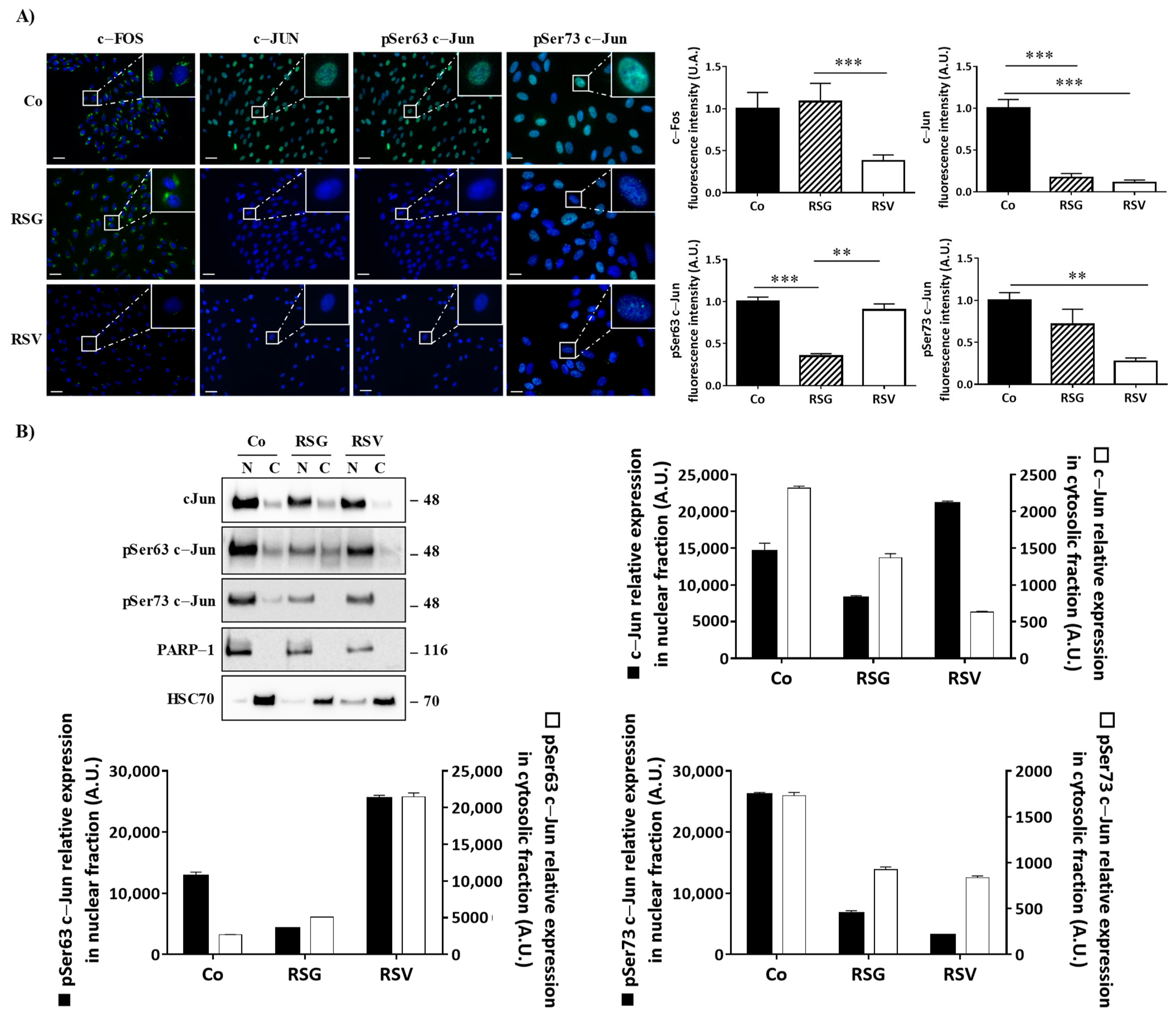 Ijms 22 06590 g005 Ijms 22 06590 g005