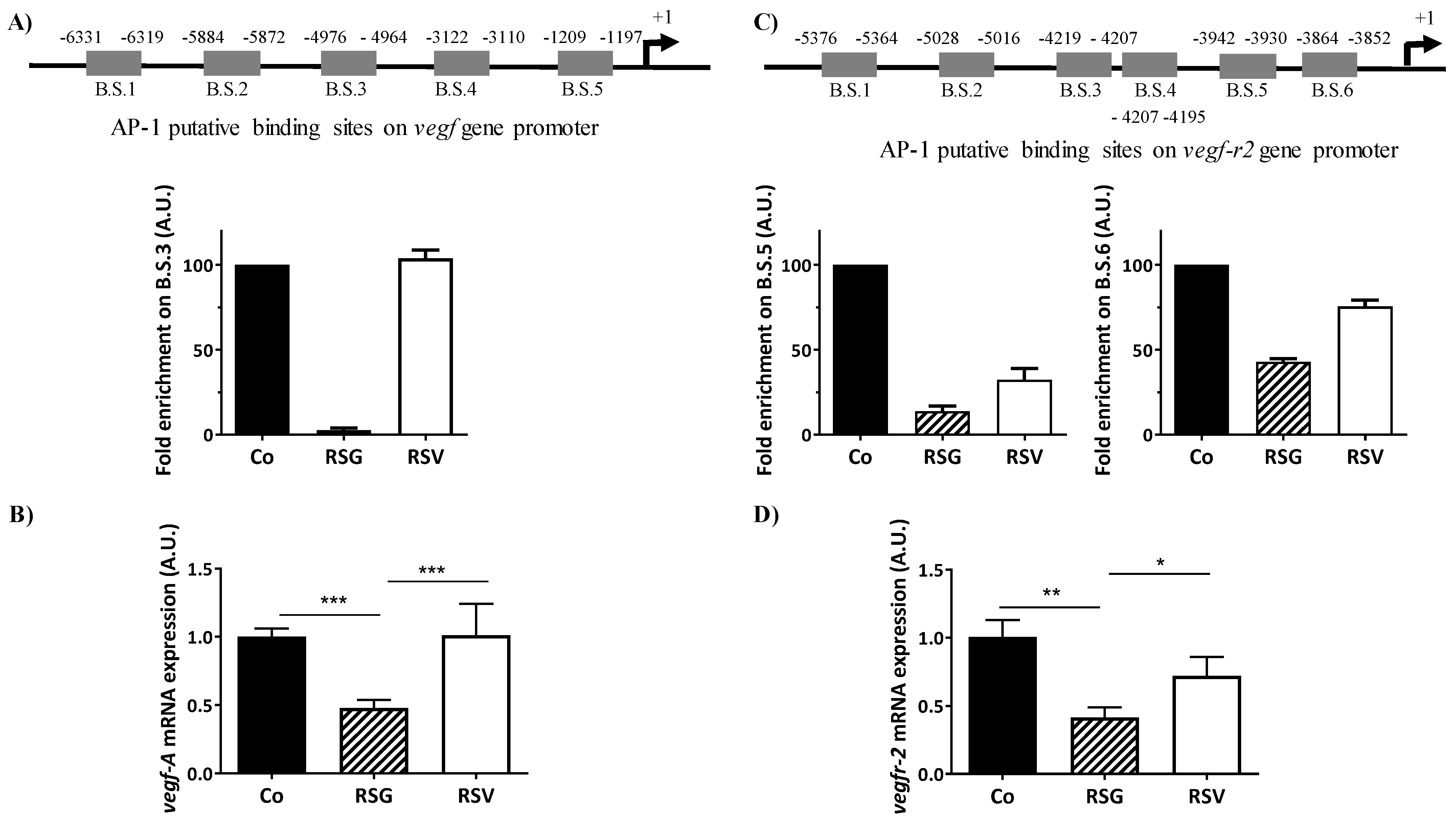 Ijms 22 06590 g006 Ijms 22 06590 g006