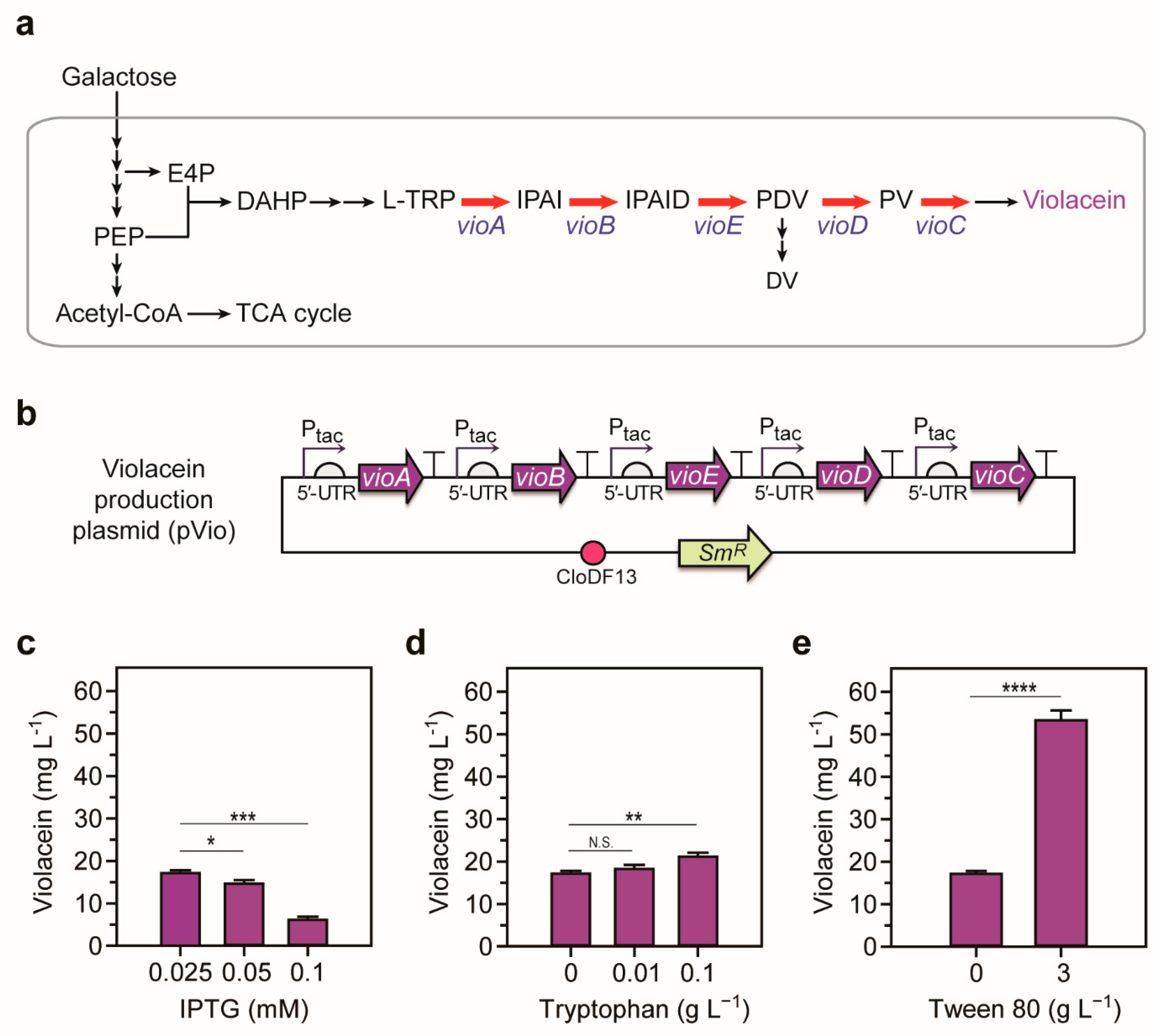 Ijms 22 06594 g001 Ijms 22 06594 g001