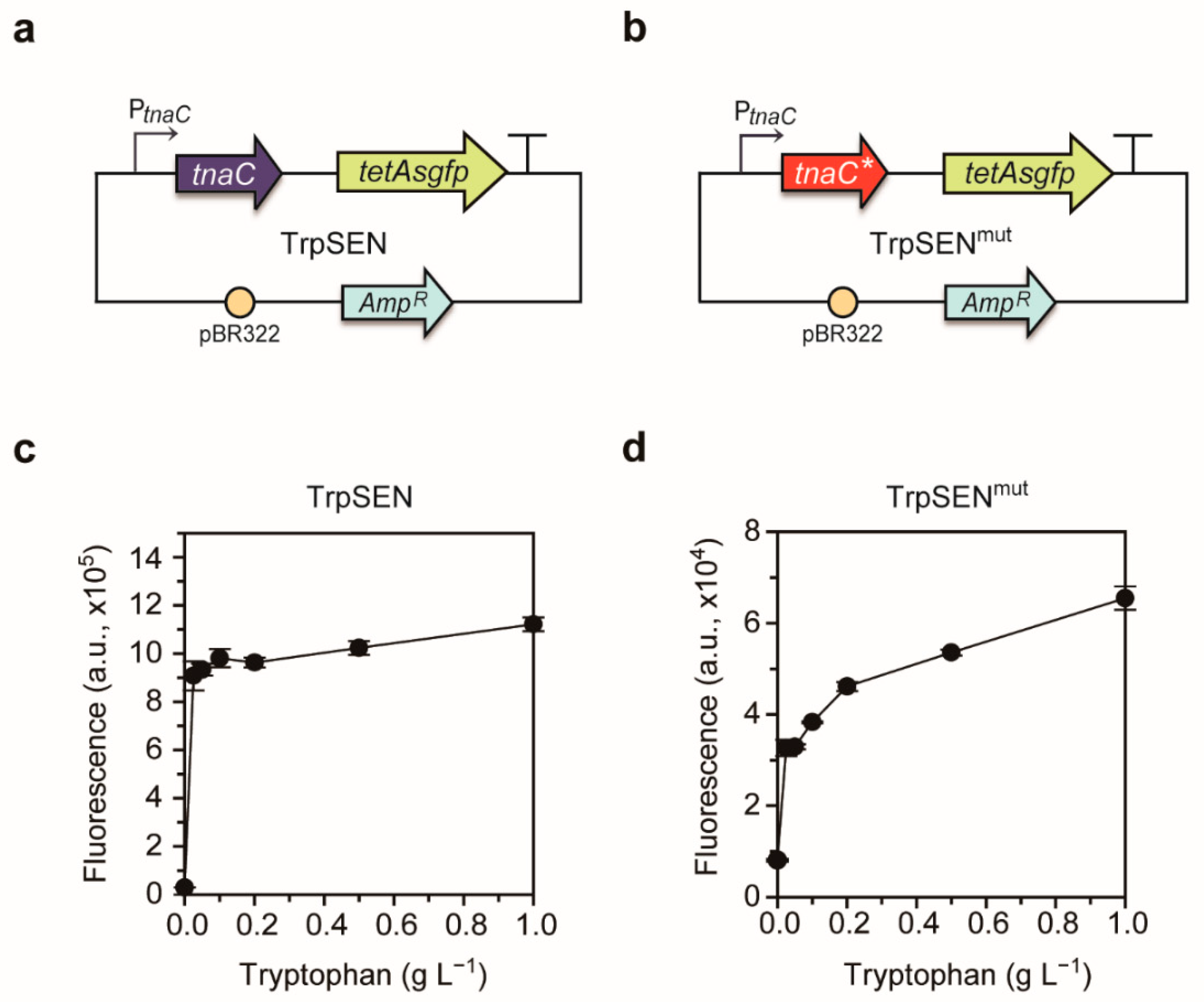 Ijms 22 06594 g002 Ijms 22 06594 g002