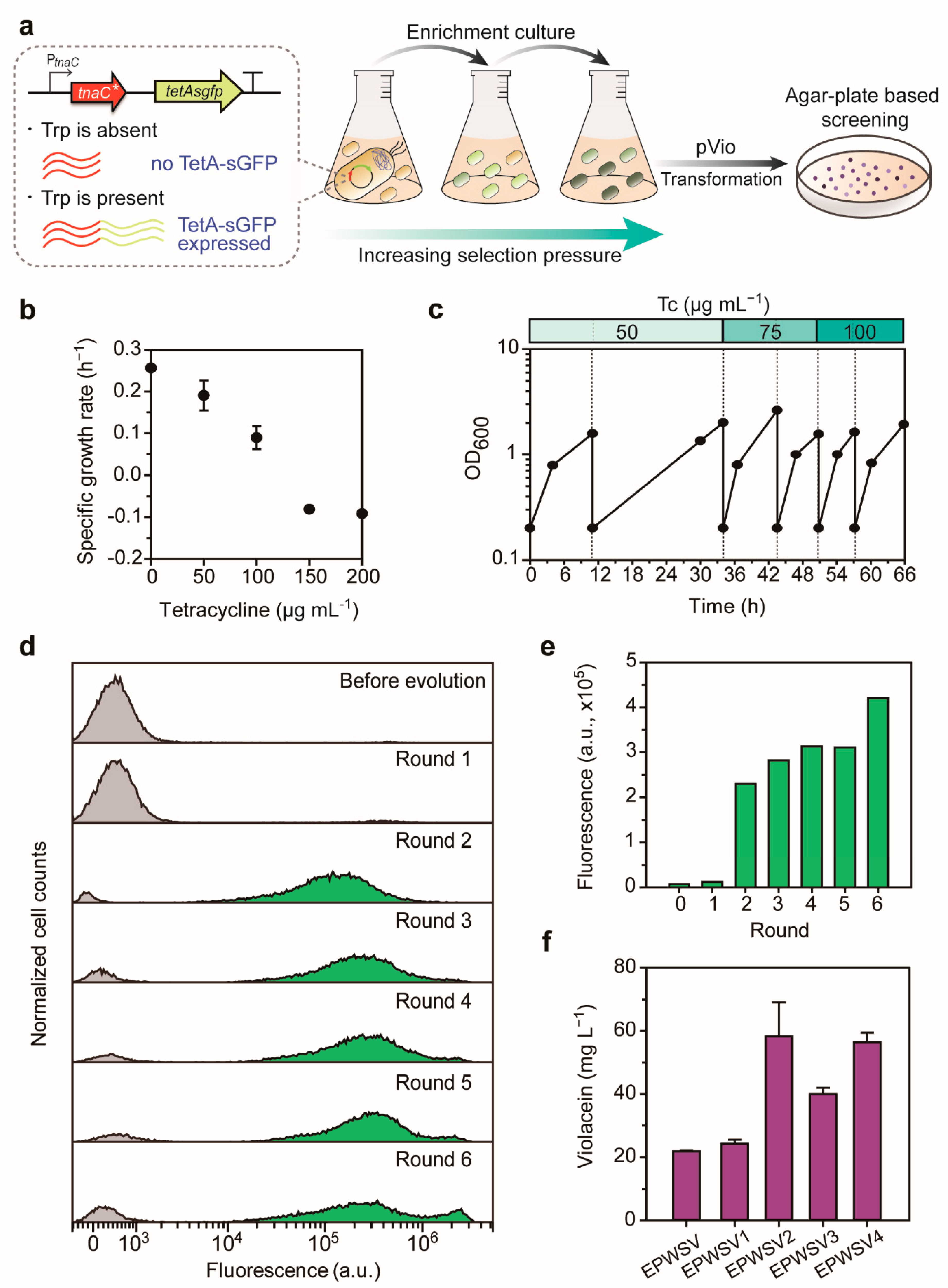 Ijms 22 06594 g003 Ijms 22 06594 g003