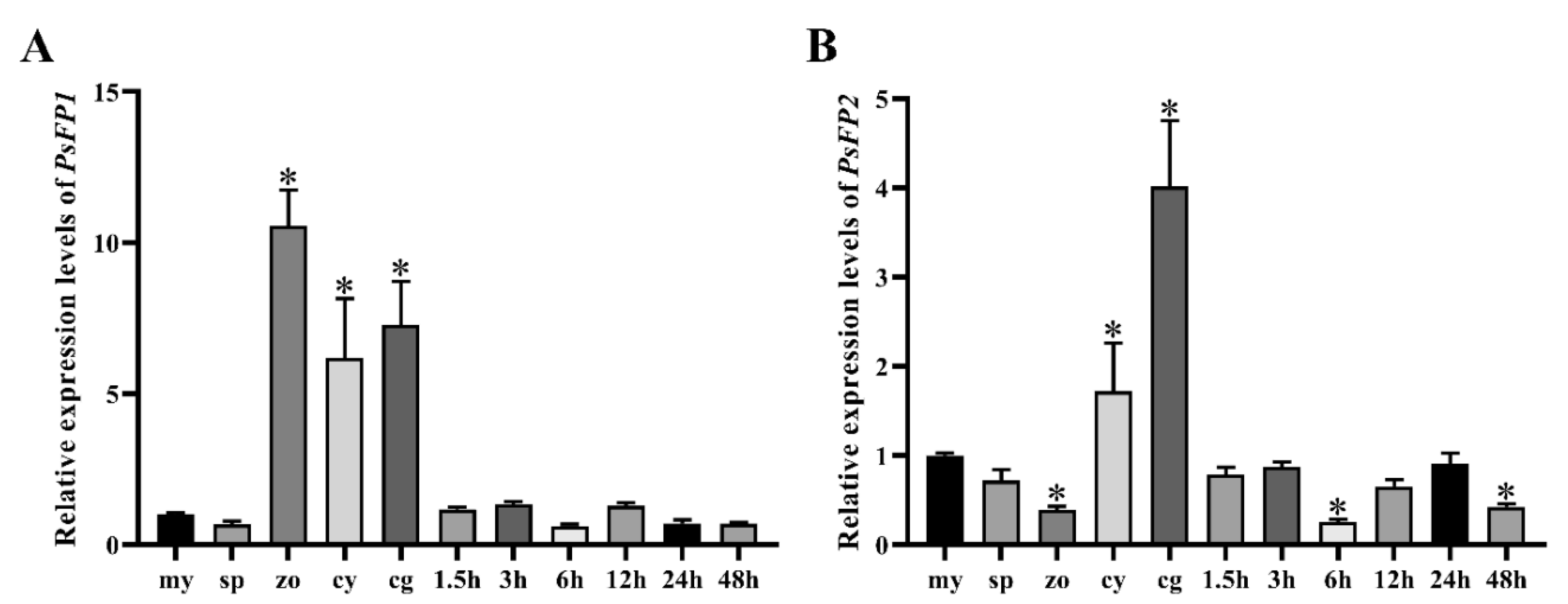 Ijms 22 06601 g002 Ijms 22 06601 g002