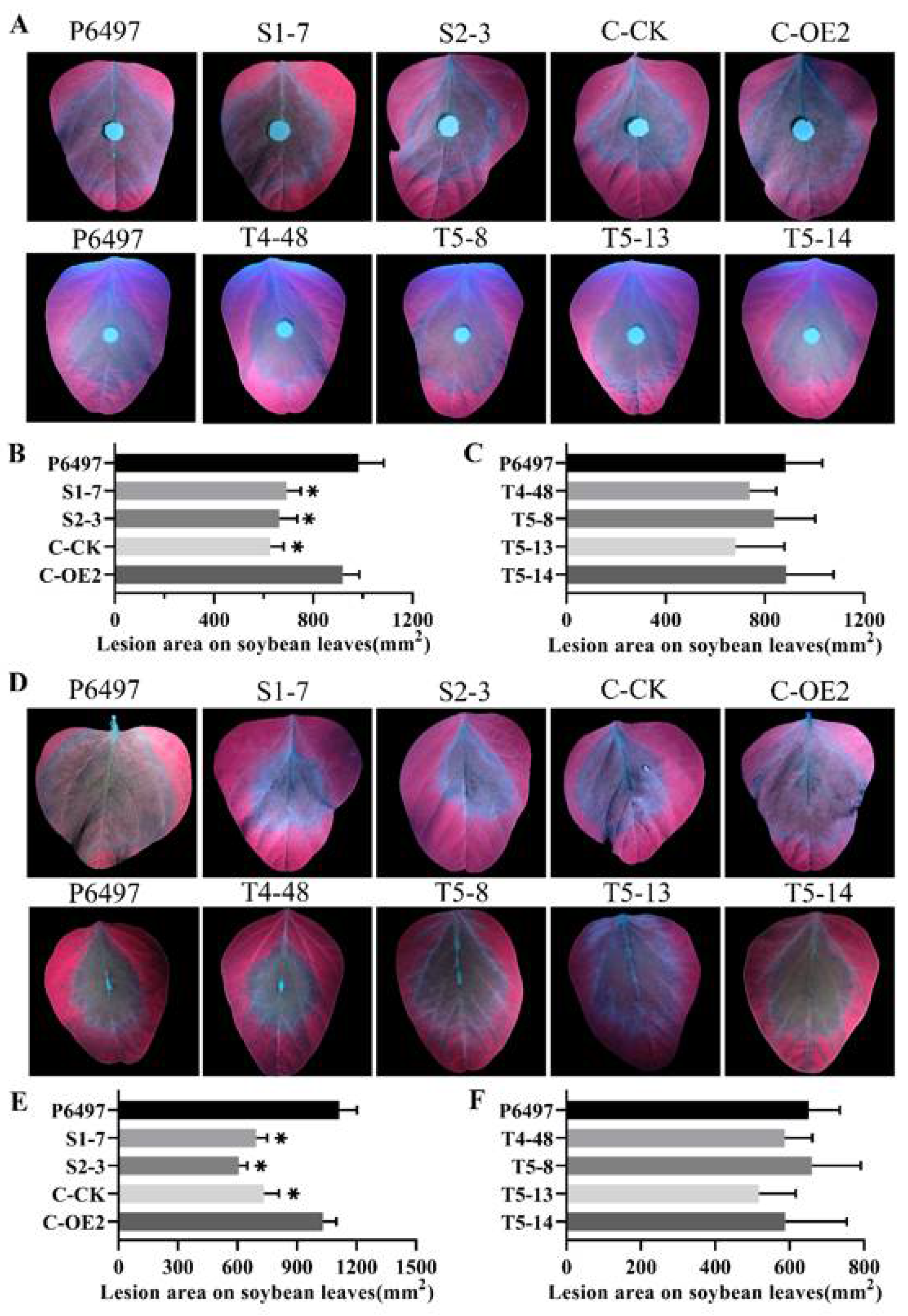 Ijms 22 06601 g005 Ijms 22 06601 g005