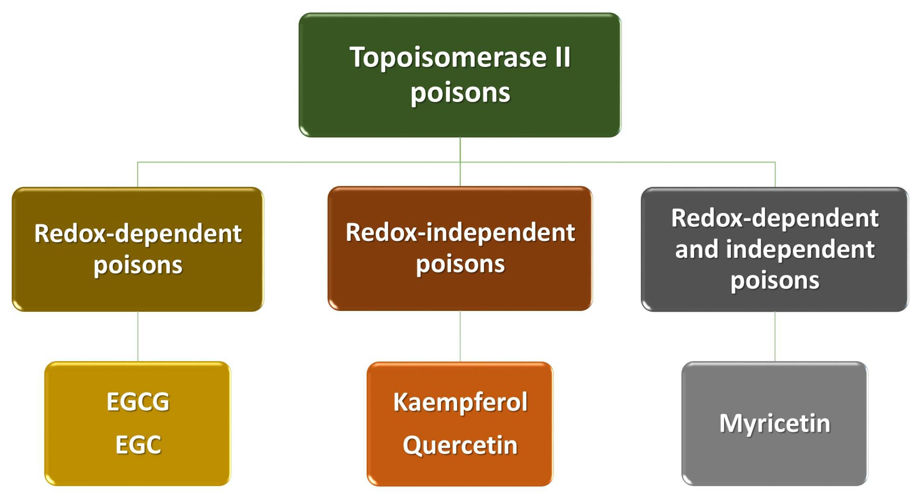 Ijms 22 06602 g005 Ijms 22 06602 g005