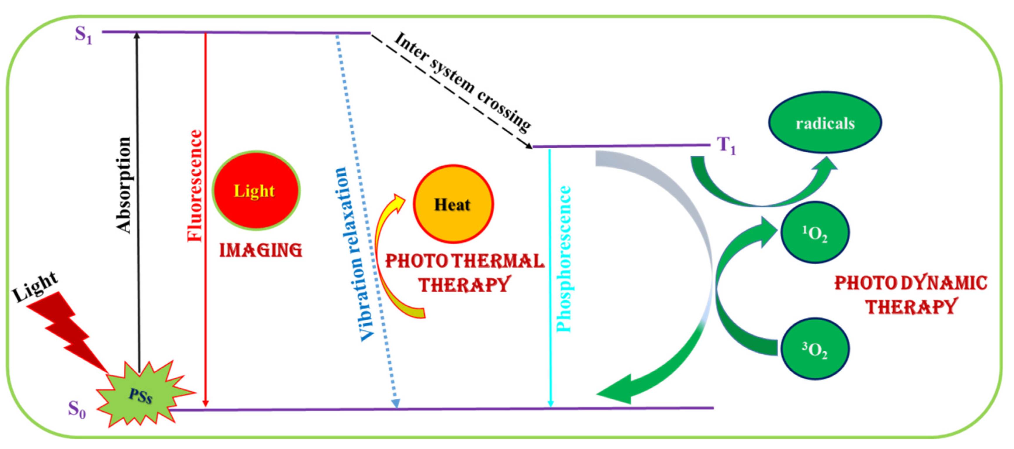 Ijms Free Full Text Photosensitizer Functionalized Nanocomposites For Light Activated Cancer Theranostics Html