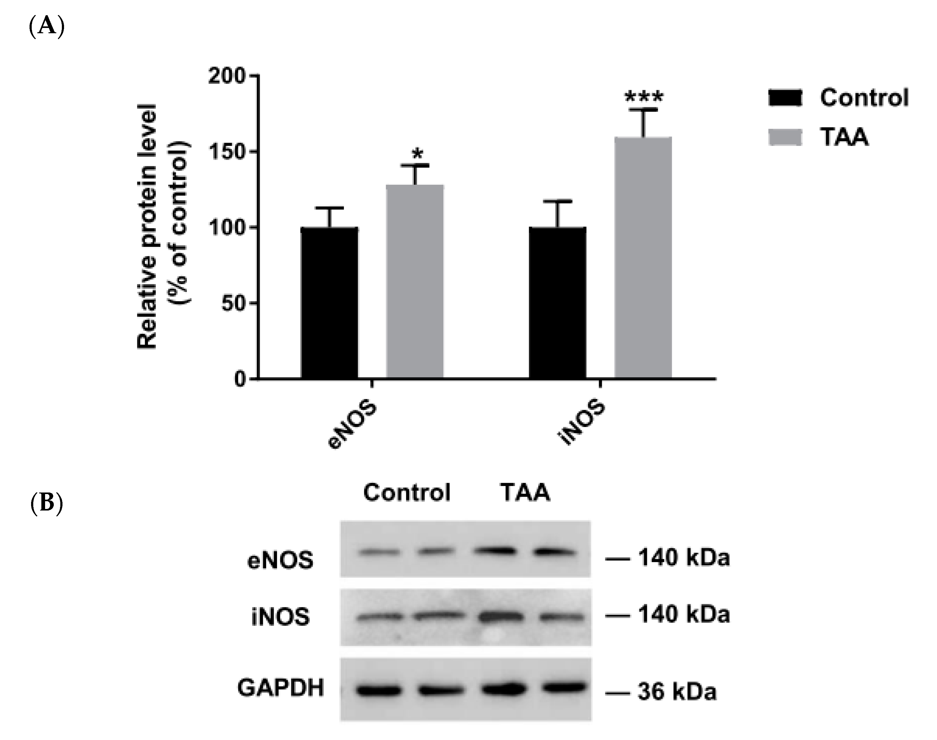 Ijms 22 06662 g002 Ijms 22 06662 g002