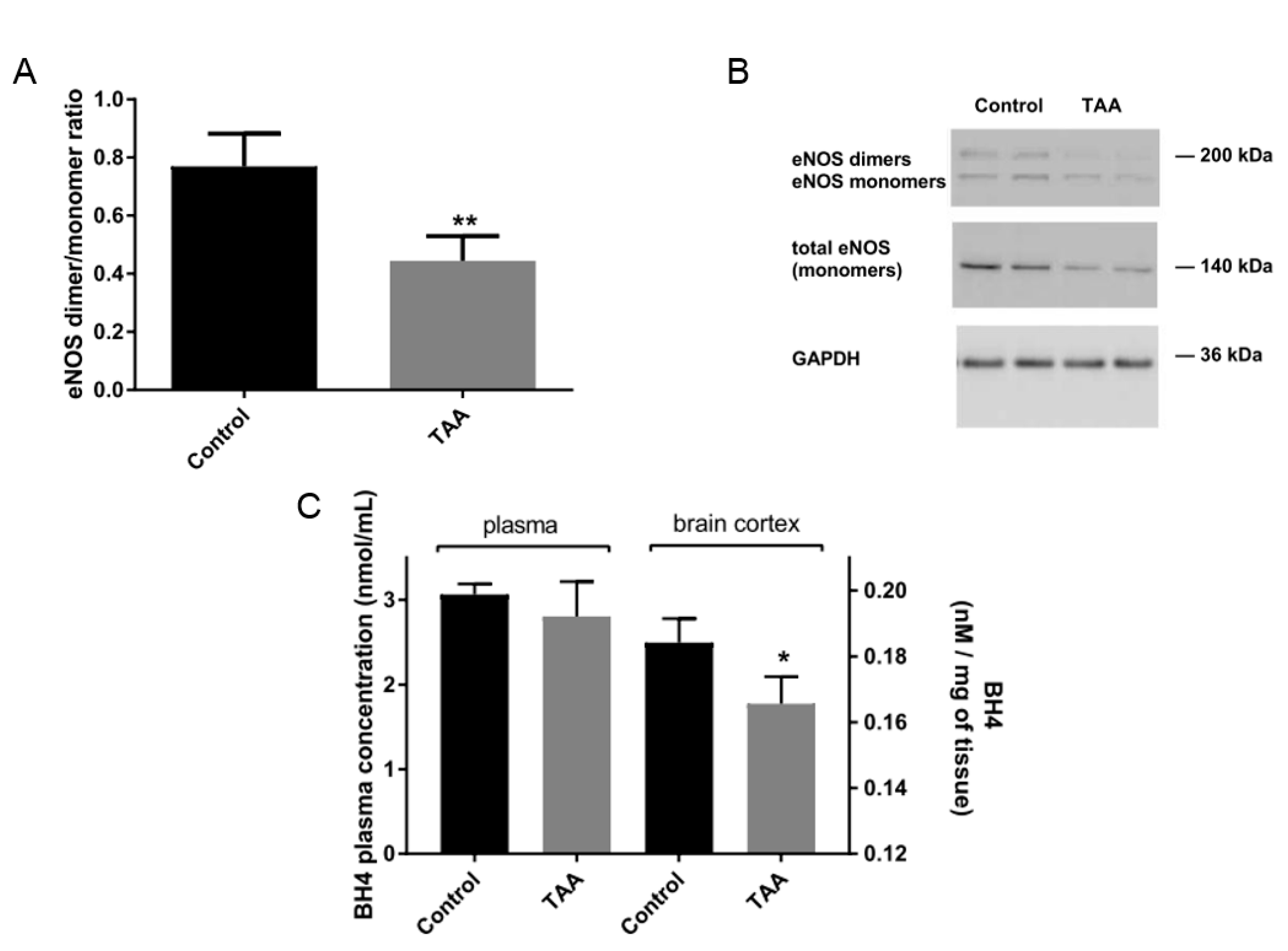 Ijms 22 06662 g005 Ijms 22 06662 g005