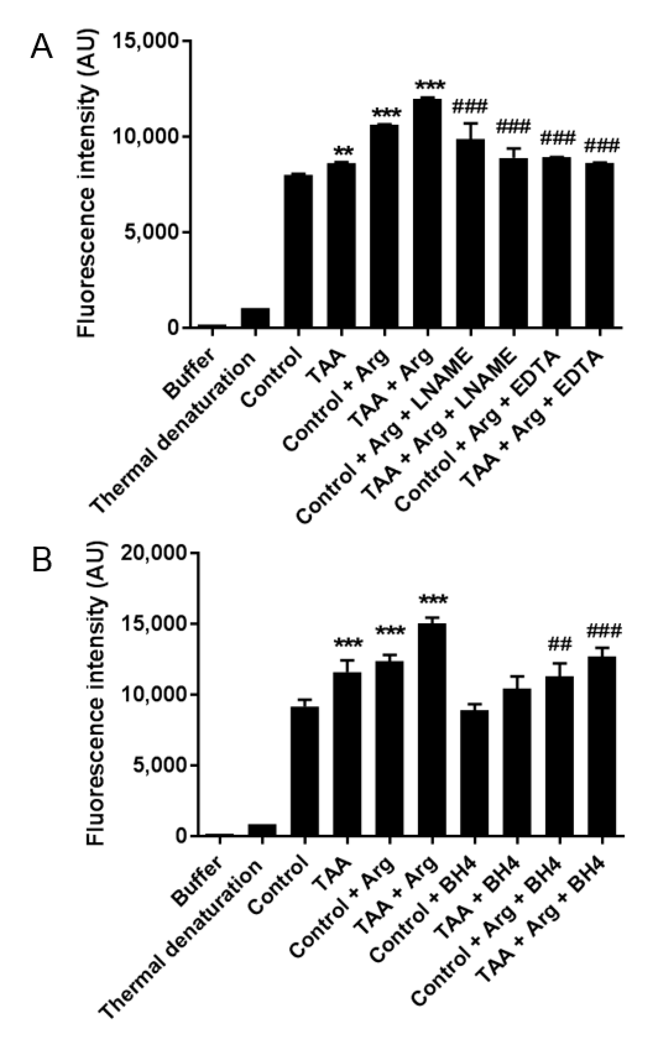 Ijms 22 06662 g006 Ijms 22 06662 g006
