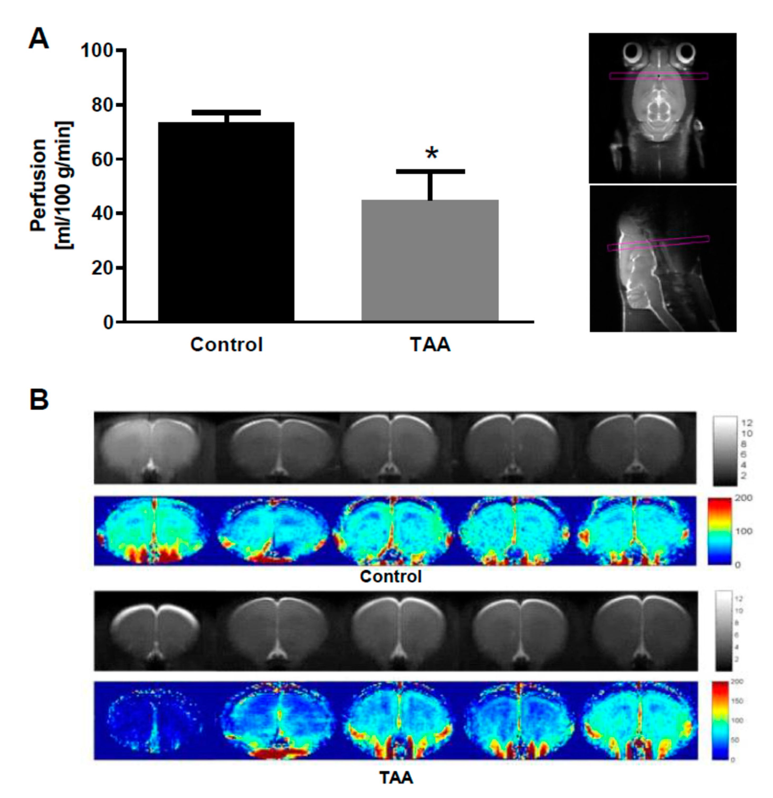 Ijms 22 06662 g008 Ijms 22 06662 g008
