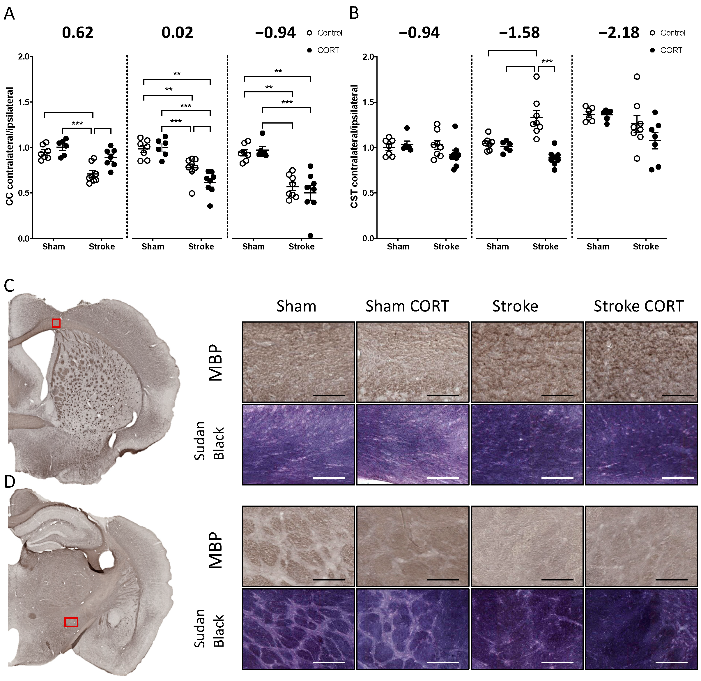 Ijms 22 06693 g002 Ijms 22 06693 g002