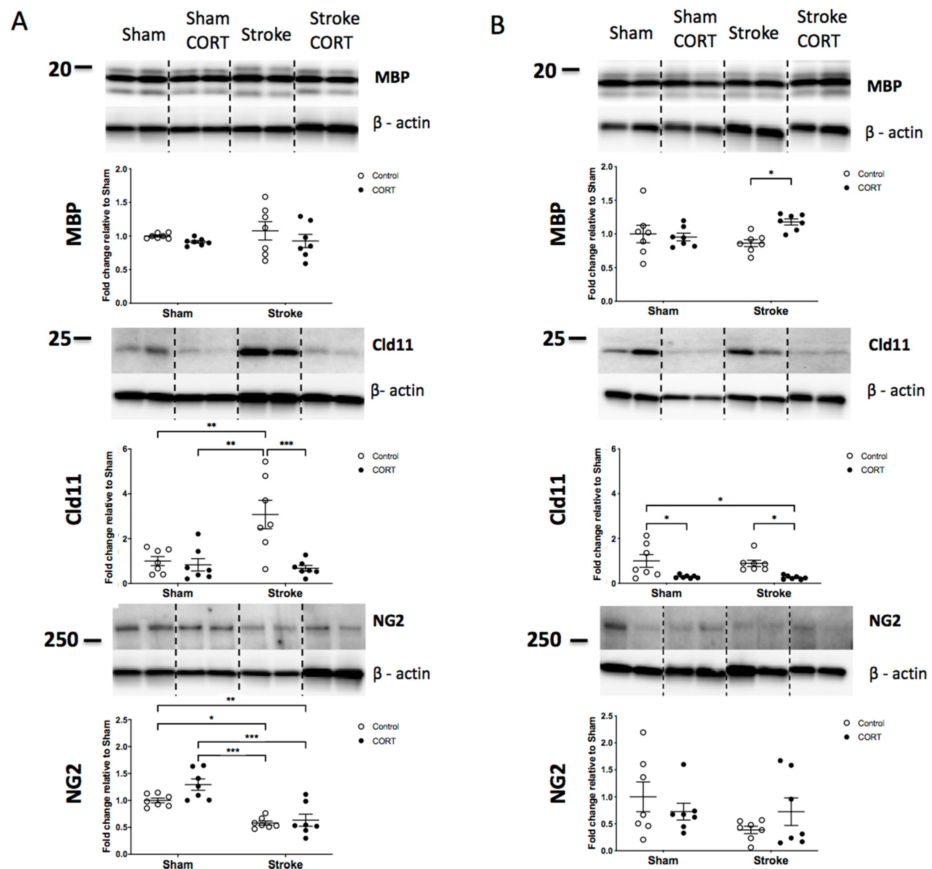 Ijms 22 06693 g003 Ijms 22 06693 g003