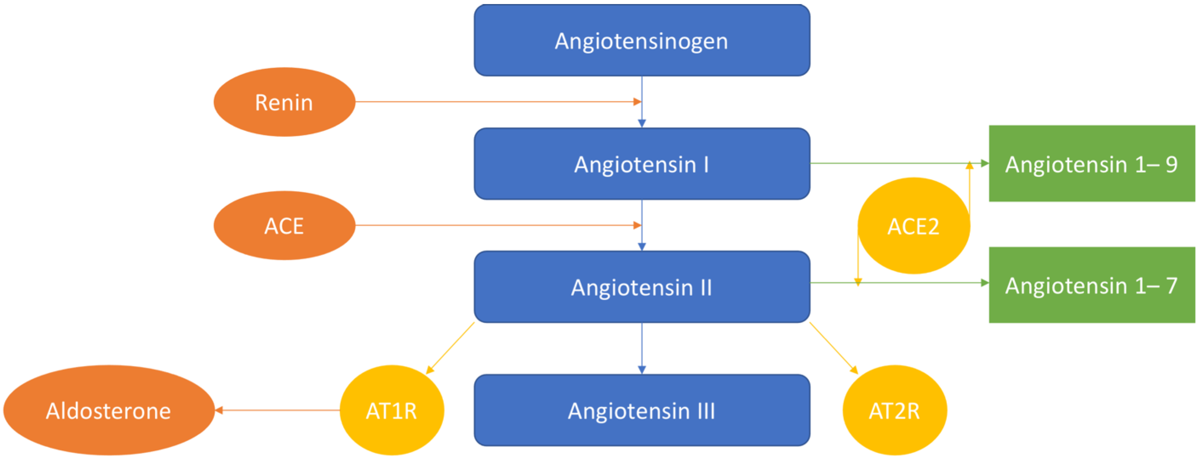 Ijms 22 06702 g001 Ijms 22 06702 g001