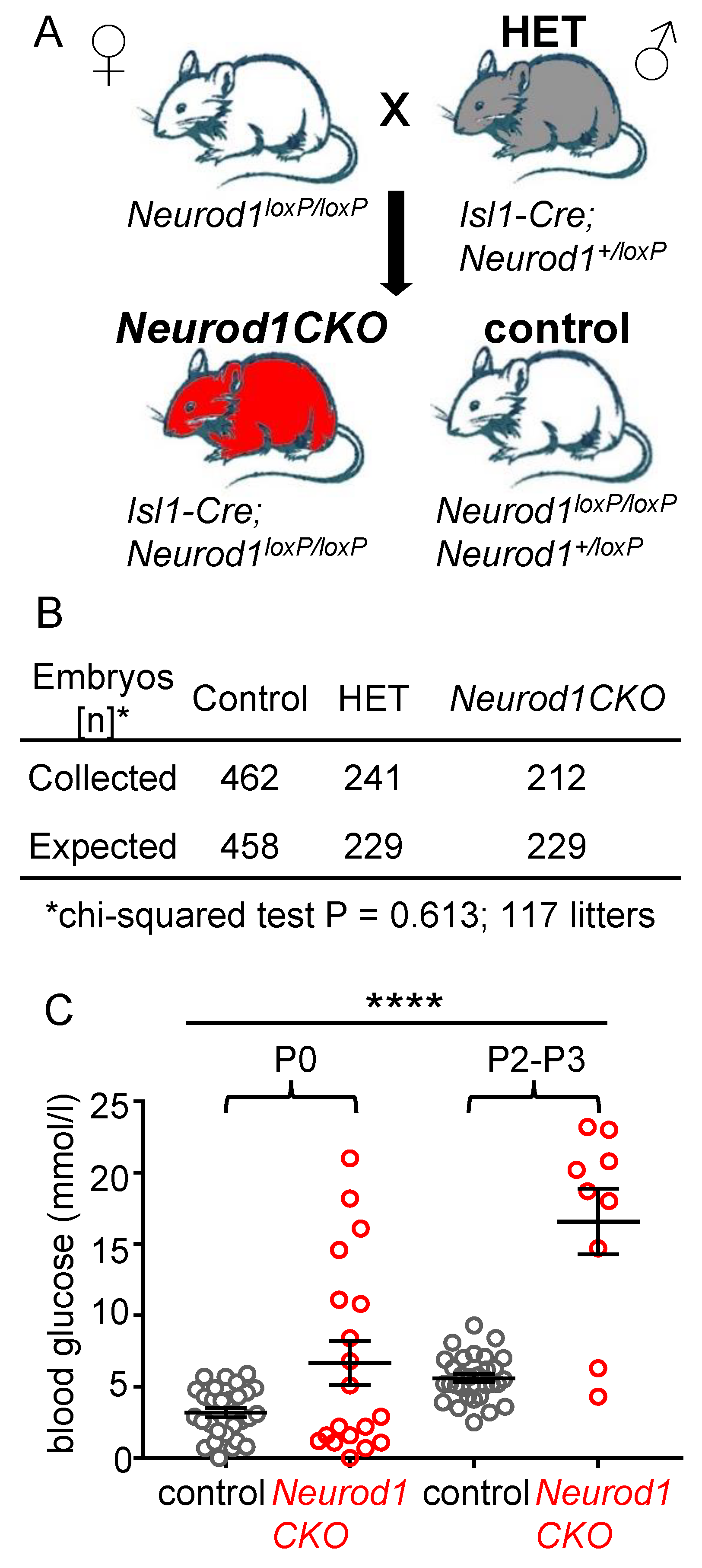 Ijms 22 06713 g001 Ijms 22 06713 g001
