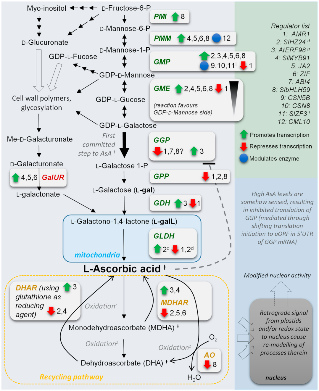 Ijms 22 06743 g001 Ijms 22 06743 g001