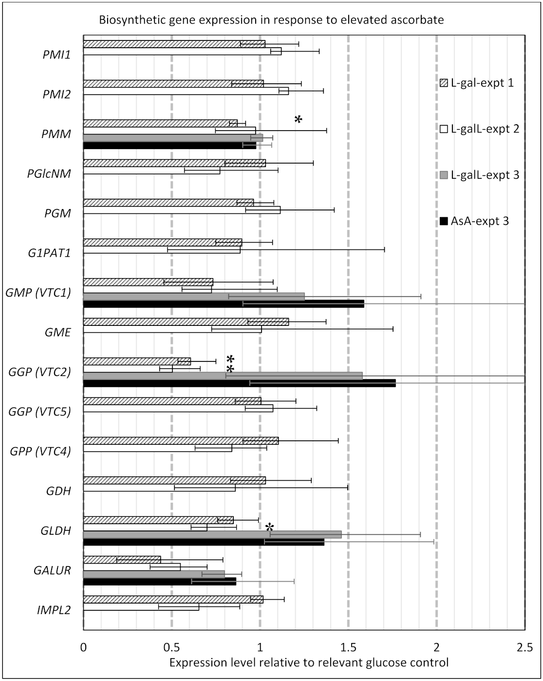Ijms 22 06743 g003 Ijms 22 06743 g003