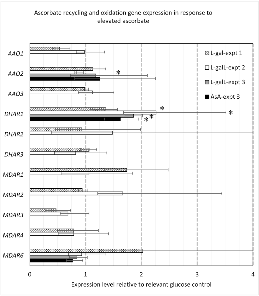 Ijms 22 06743 g004 Ijms 22 06743 g004