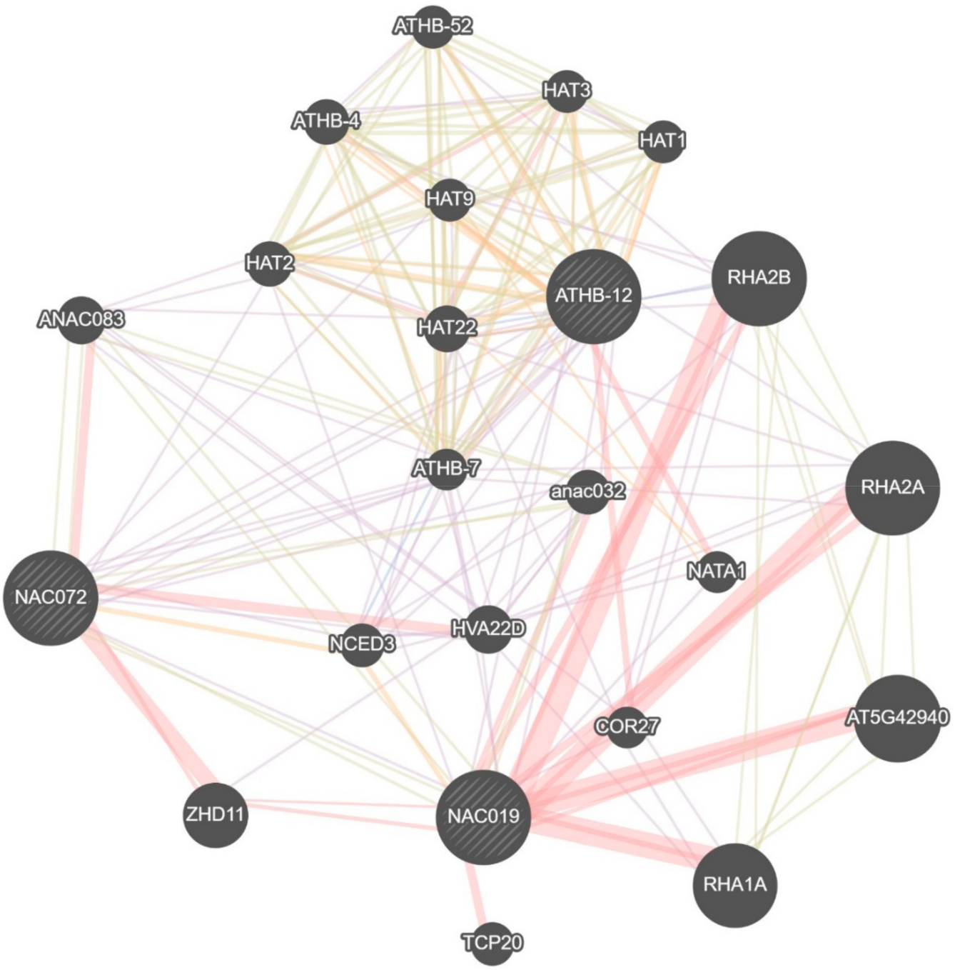 Ijms 22 06743 g006 Ijms 22 06743 g006