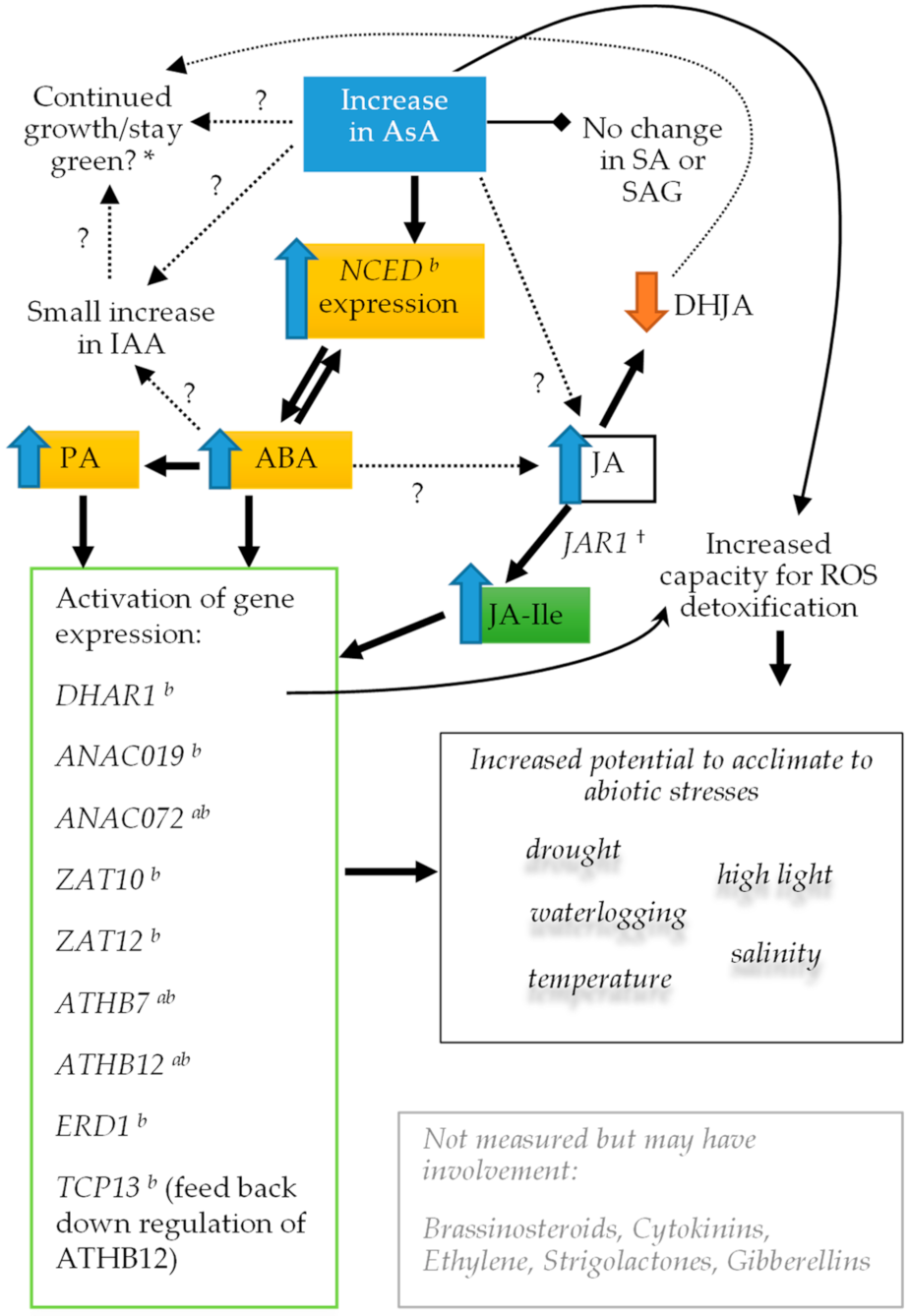 Ijms 22 06743 g009 Ijms 22 06743 g009