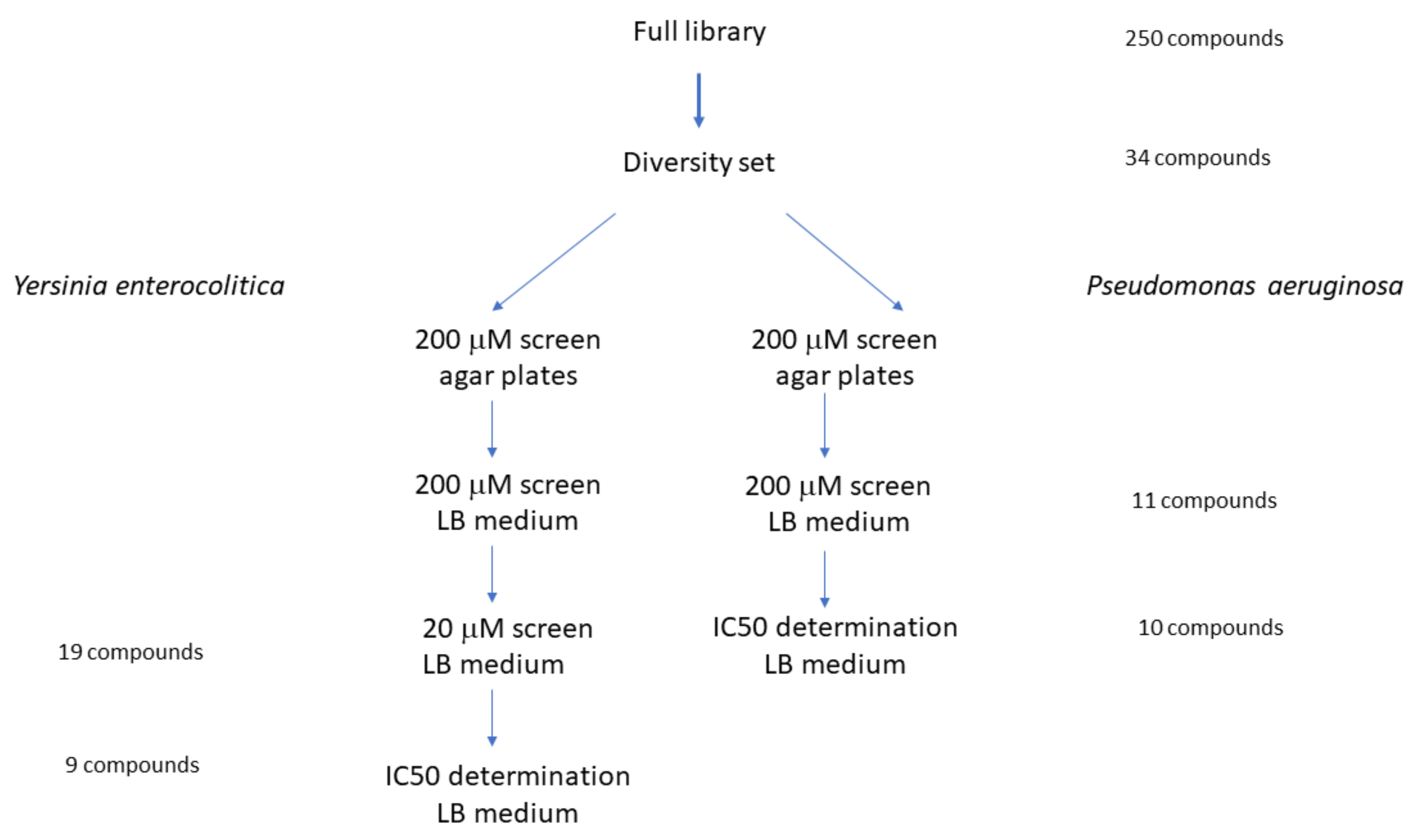 Ijms 22 06762 g001 Ijms 22 06762 g001