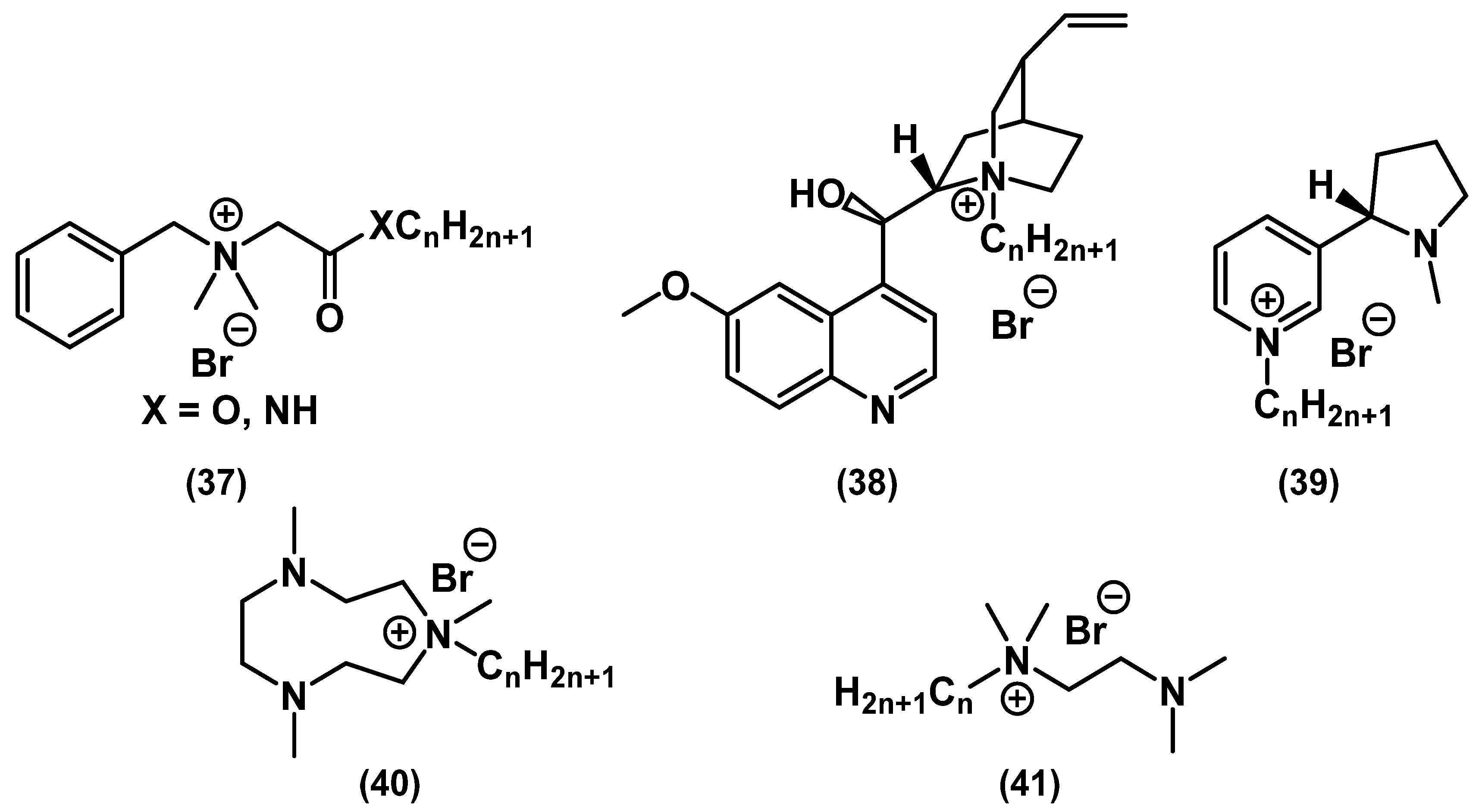 Ijms 22 06793 g017 Ijms 22 06793 g017