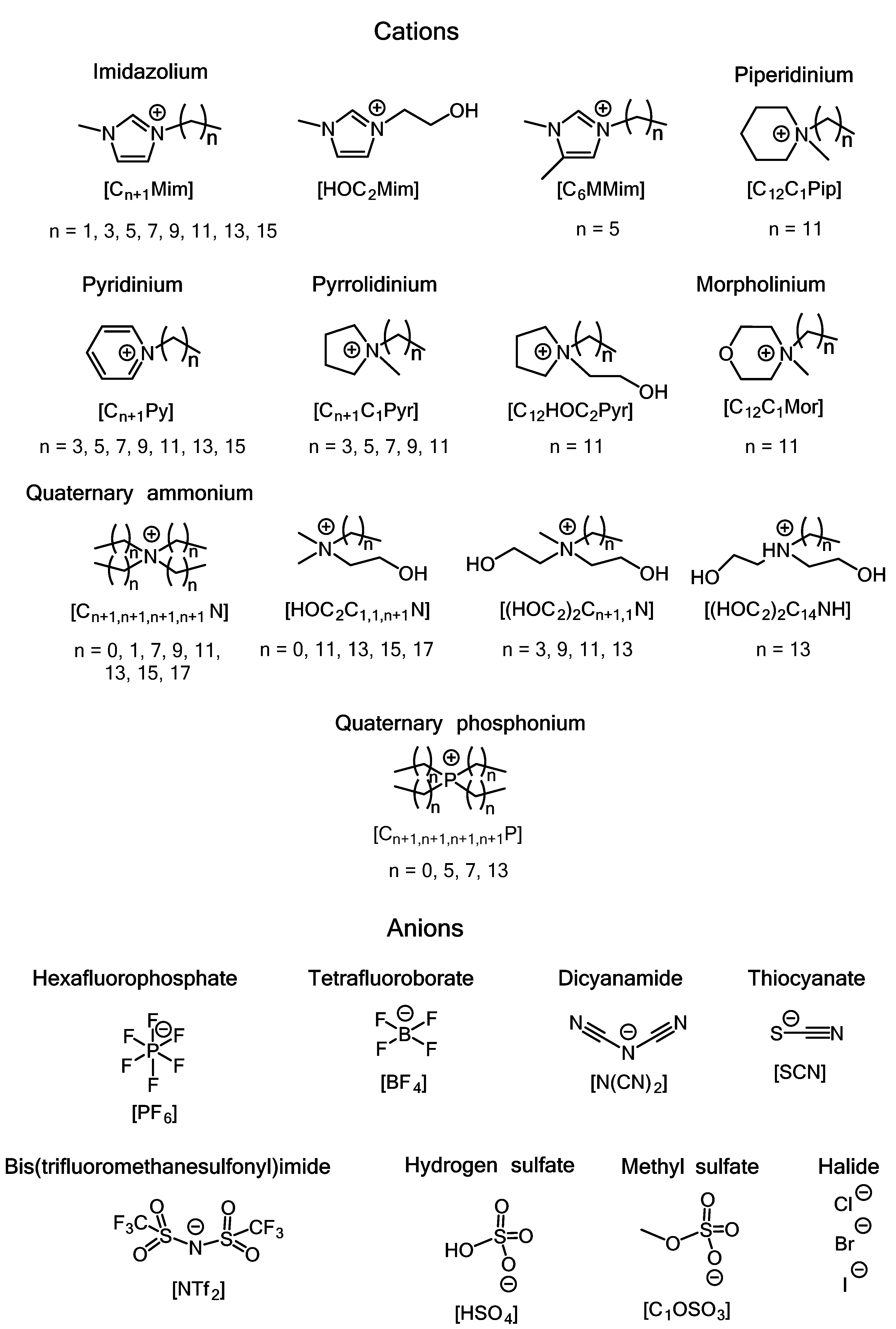 Ijms 22 06793 g018 Ijms 22 06793 g018