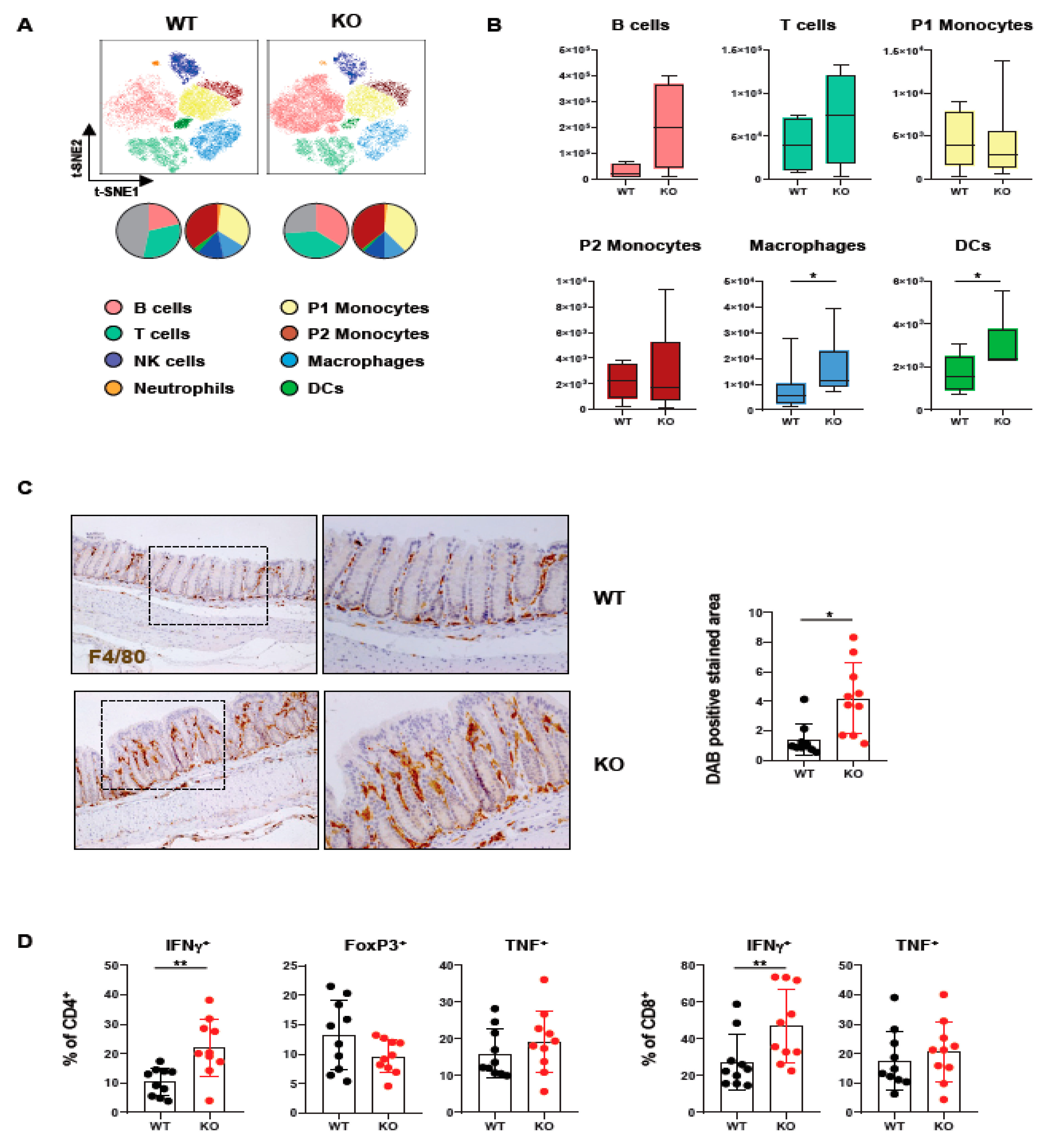 Ijms 22 06820 g001 Ijms 22 06820 g001