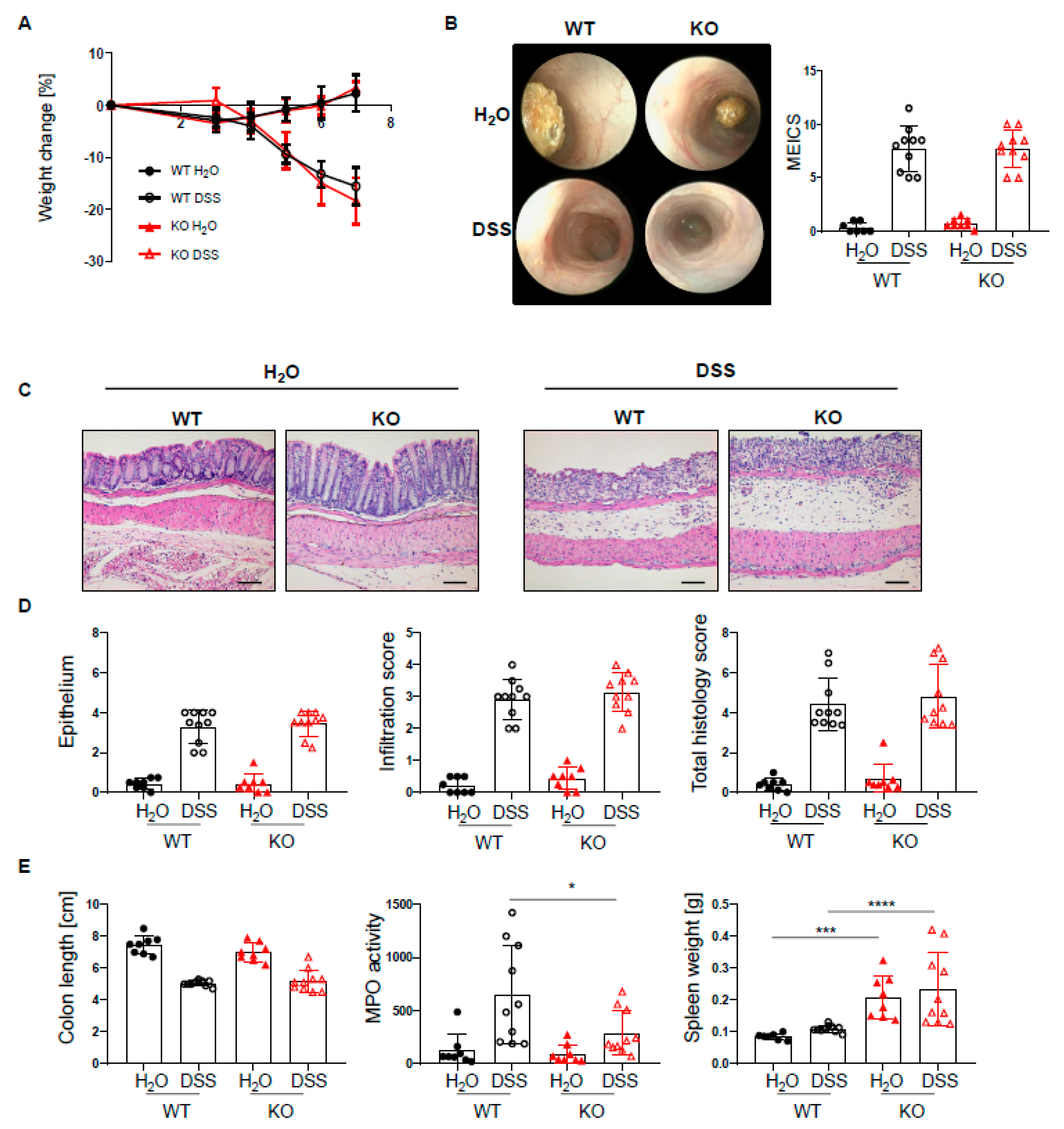 Ijms 22 06820 g002 Ijms 22 06820 g002