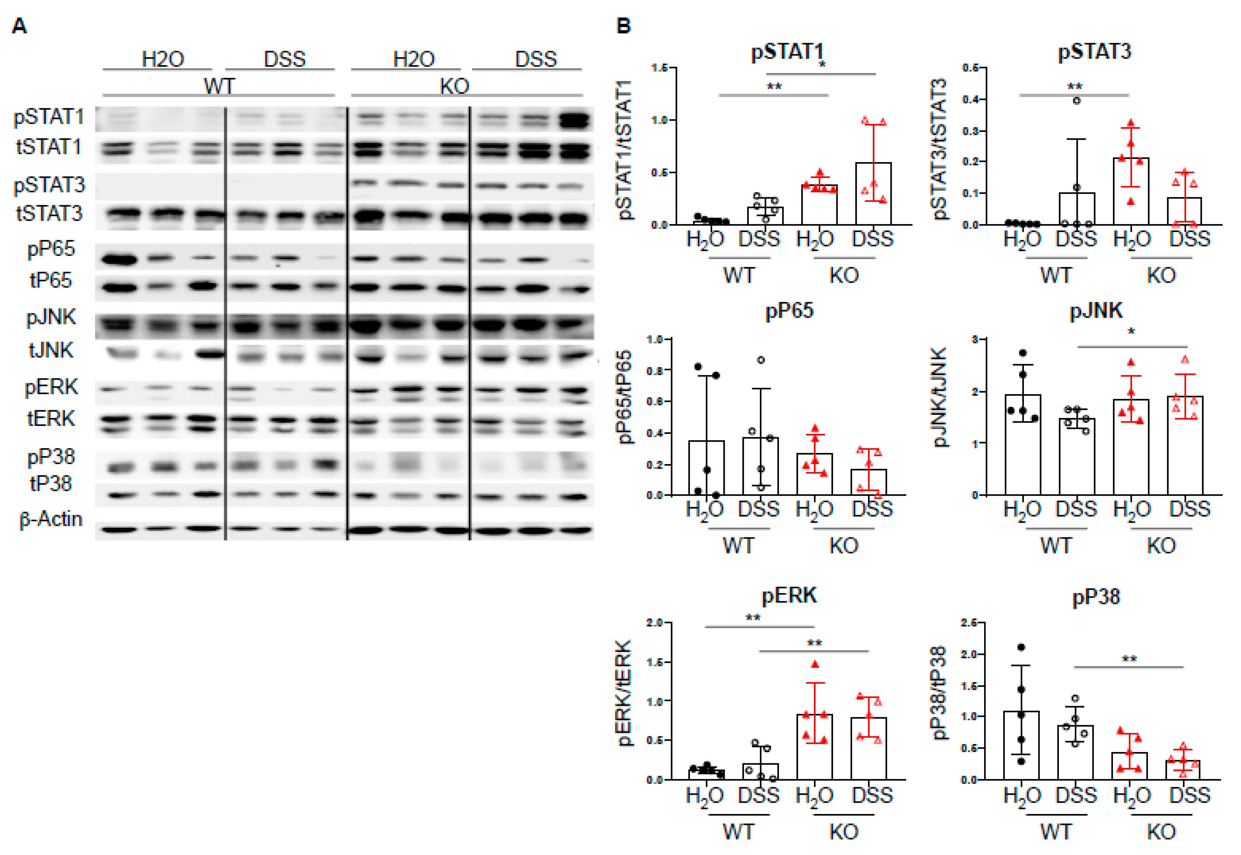 Ijms 22 06820 g004 Ijms 22 06820 g004