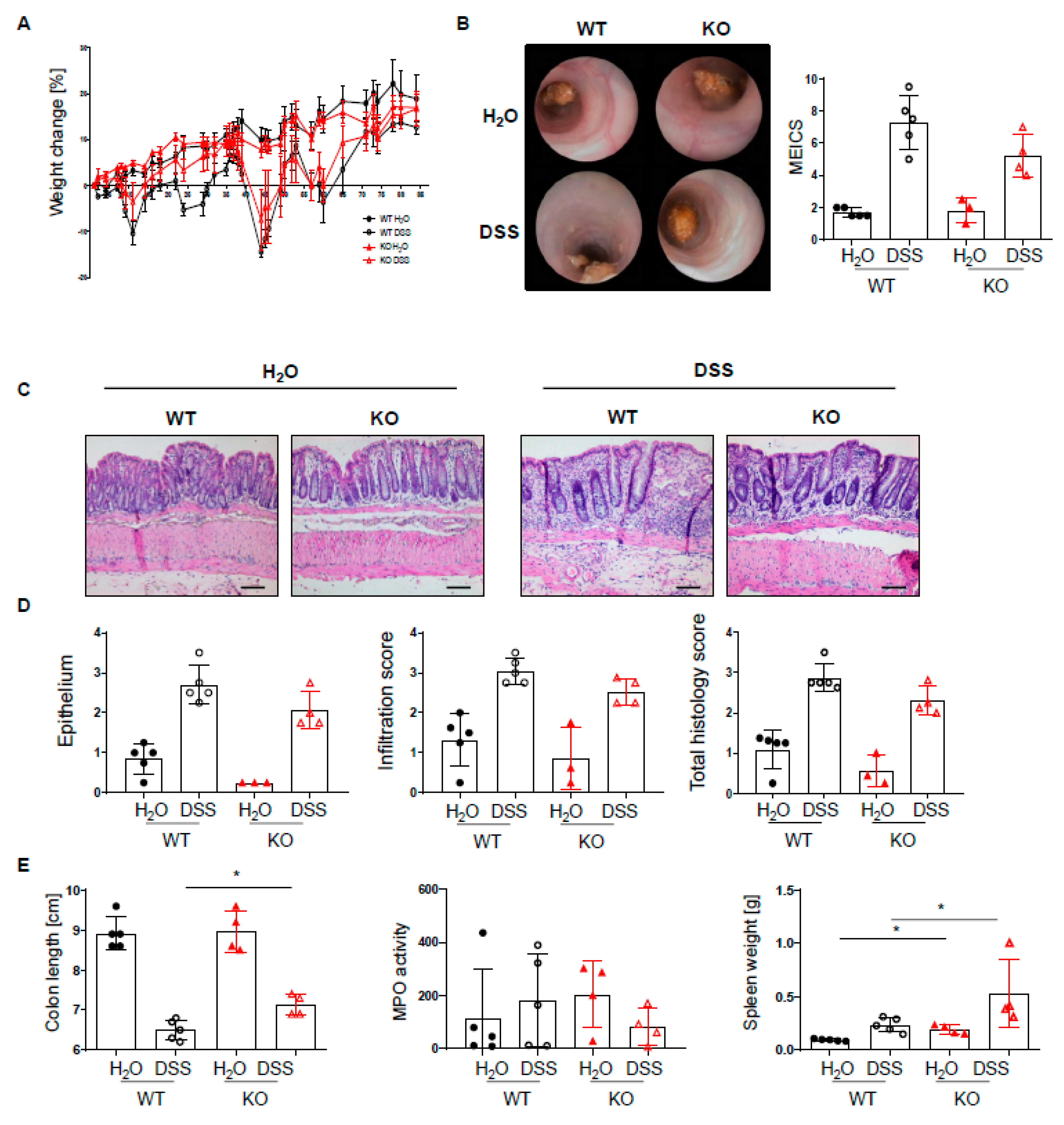 Ijms 22 06820 g005 Ijms 22 06820 g005