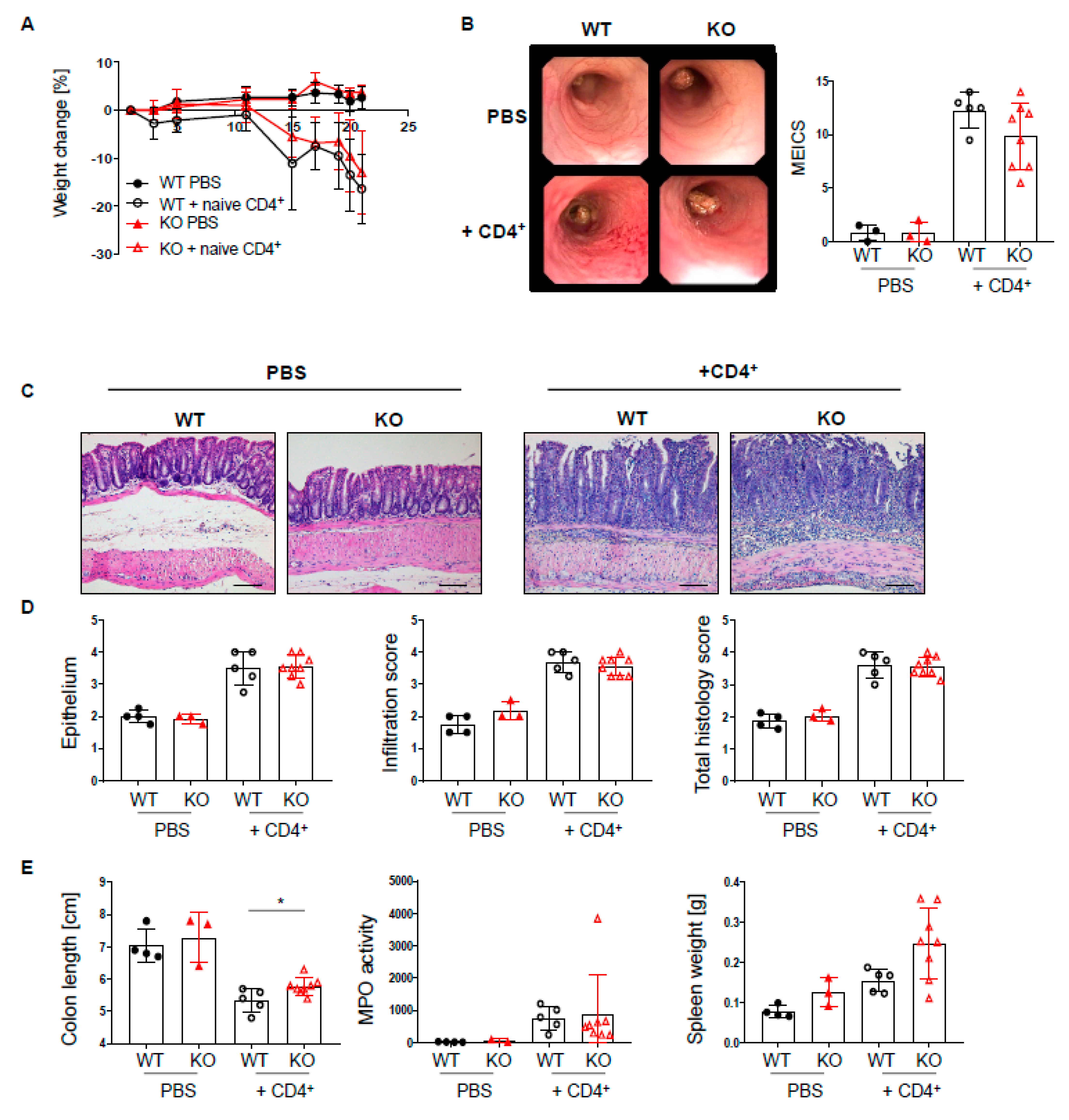 Ijms 22 06820 g006 Ijms 22 06820 g006