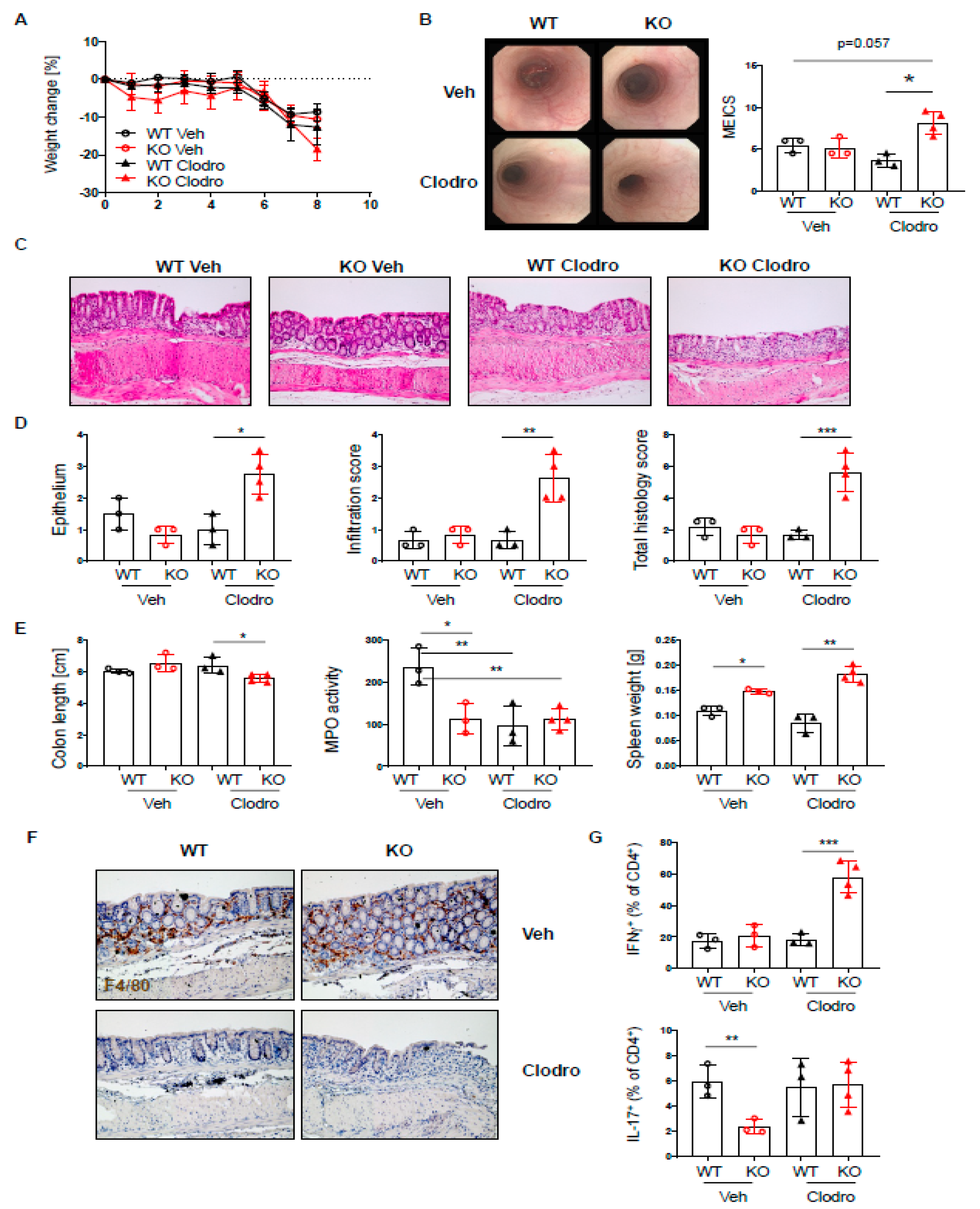 Ijms 22 06820 g007 Ijms 22 06820 g007