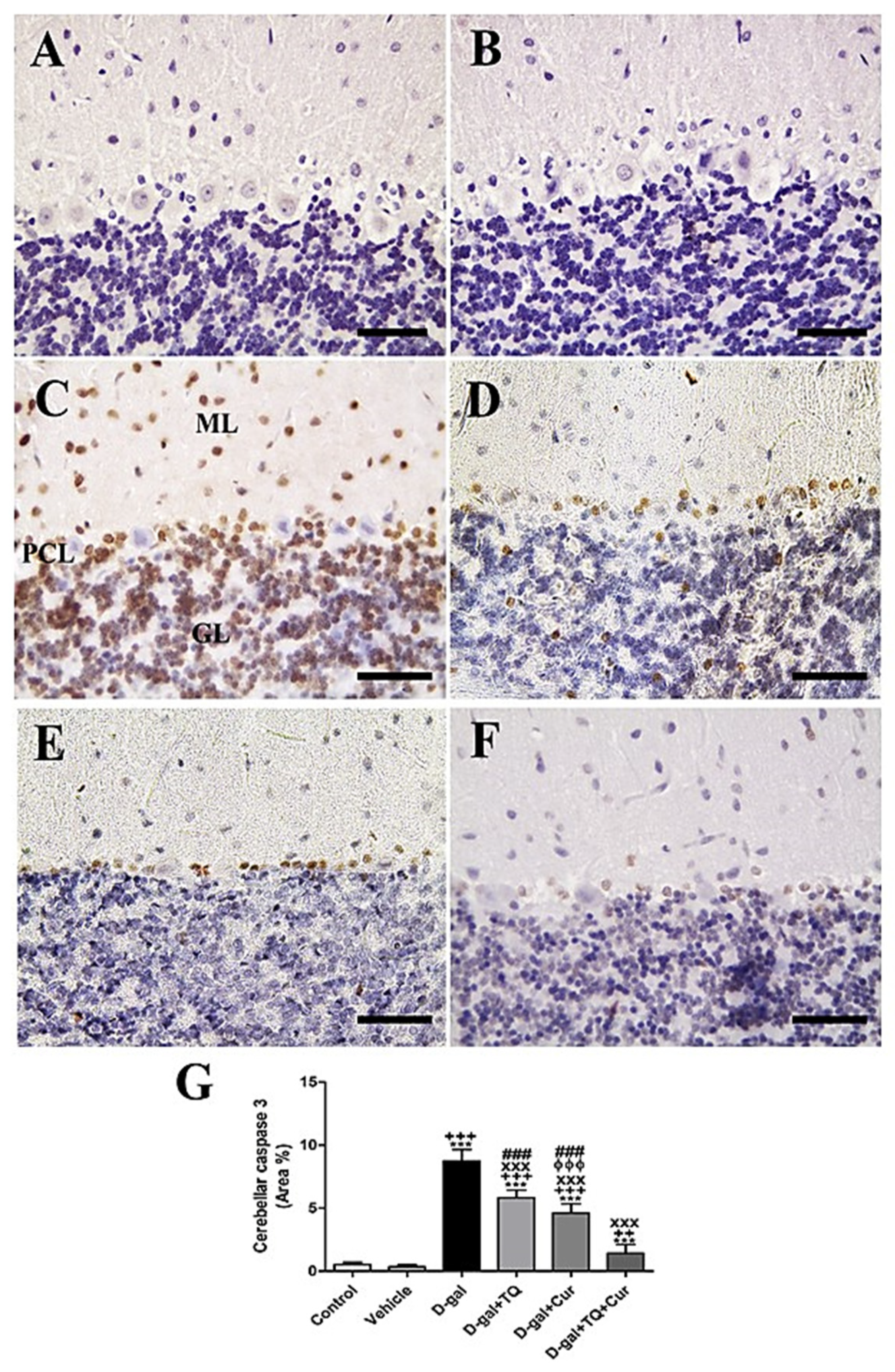 Ijms 22 06839 g003