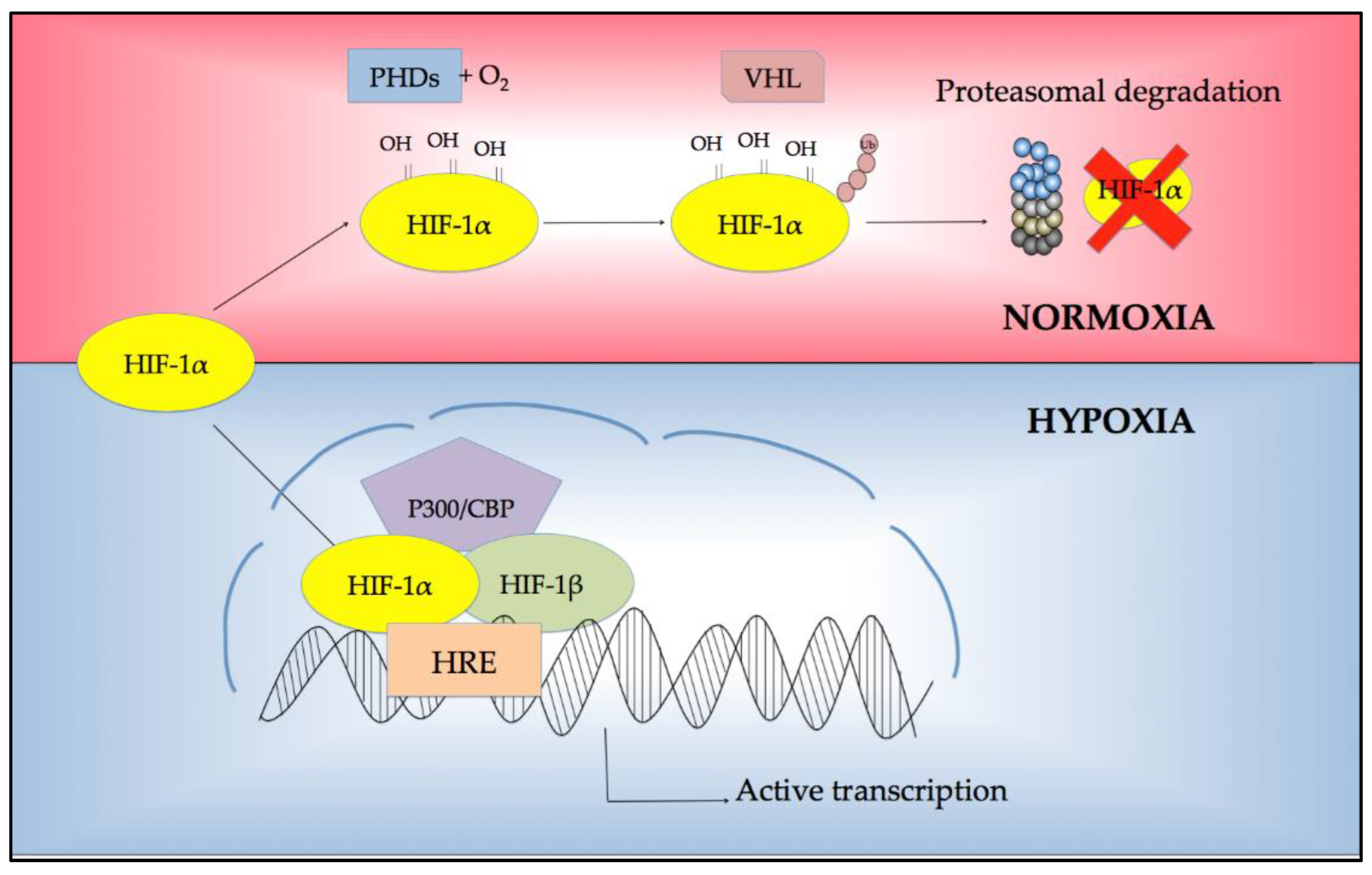 Hex hypoxia фото