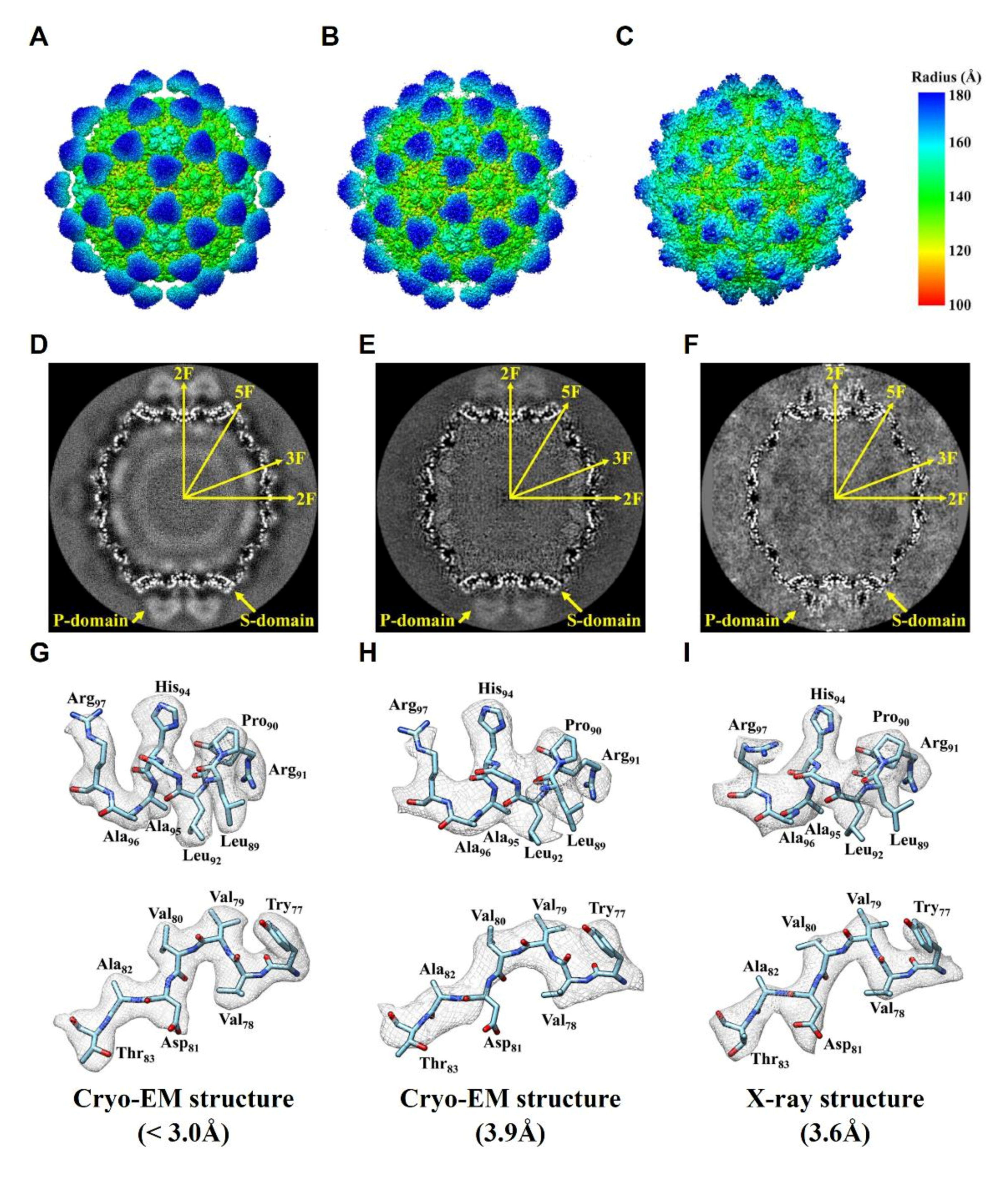 Ijms 22 06859 g003 Ijms 22 06859 g003