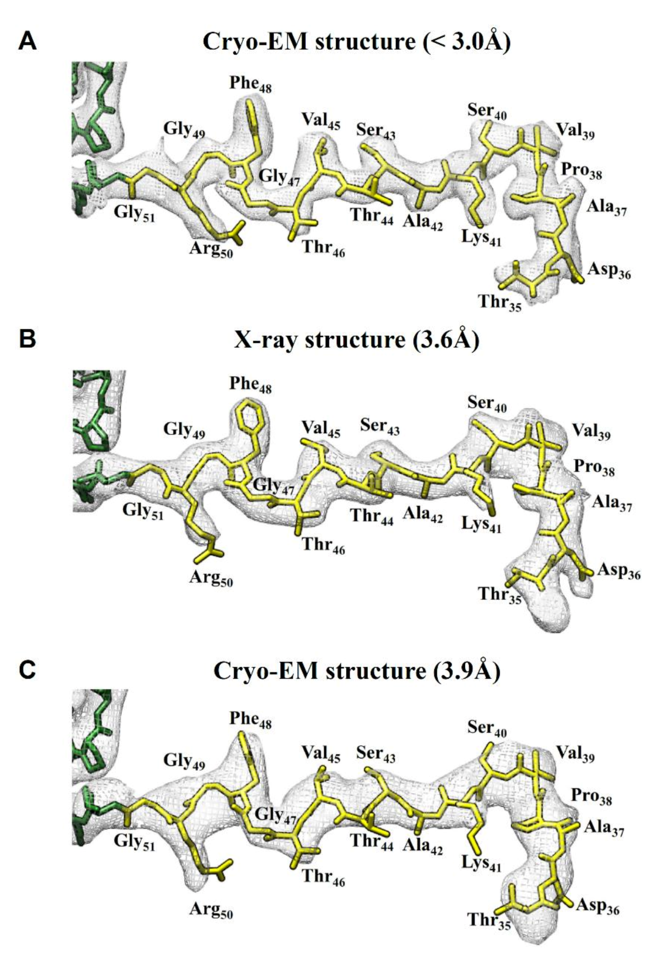 Ijms 22 06859 g004 Ijms 22 06859 g004