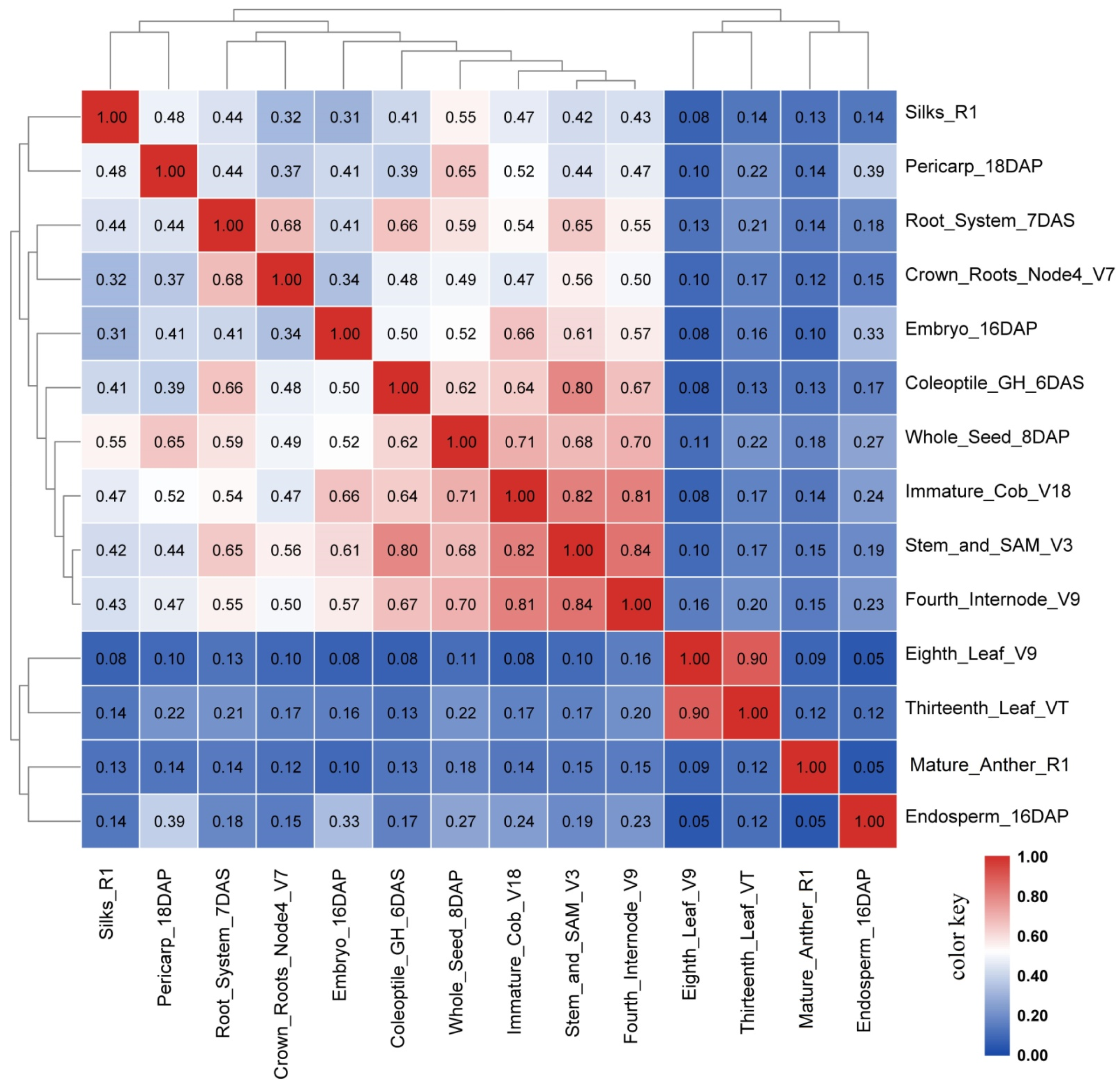 Ijms 22 06877 g004 Ijms 22 06877 g004