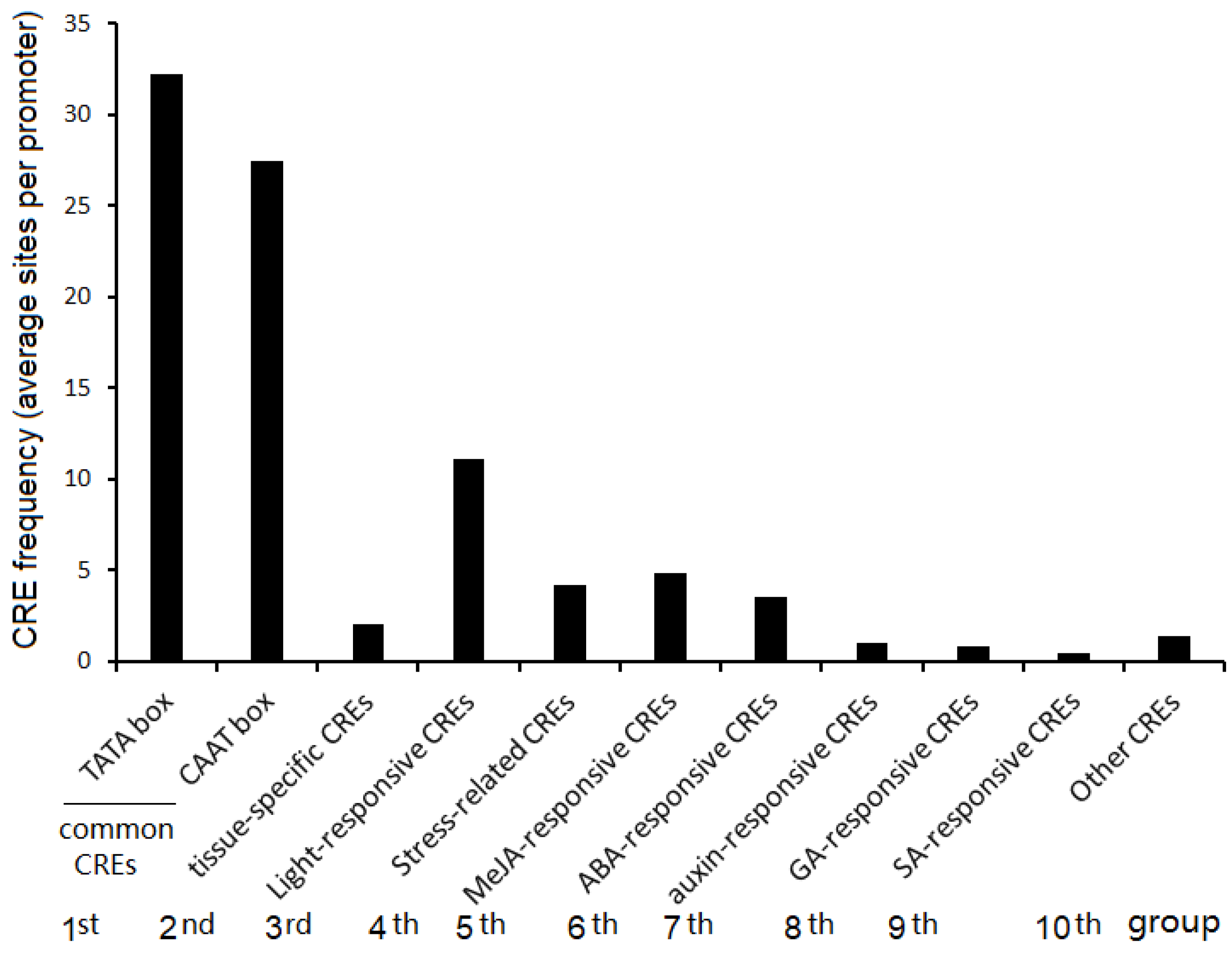 Ijms 22 06877 g007 Ijms 22 06877 g007