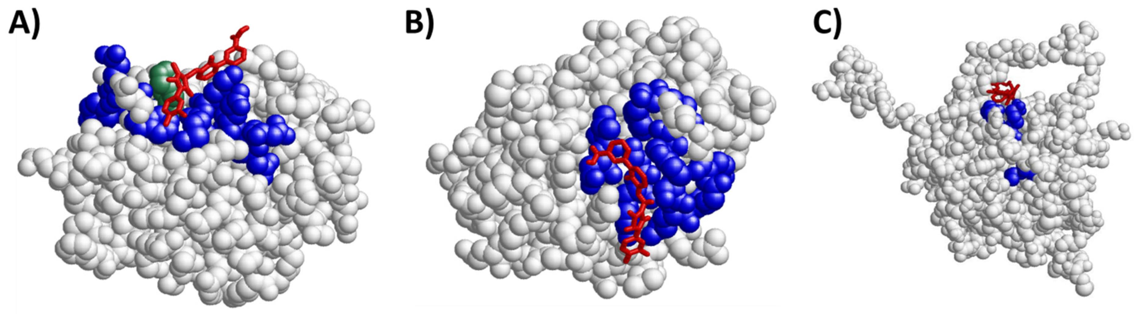 Ijms 22 06907 g004 Ijms 22 06907 g004