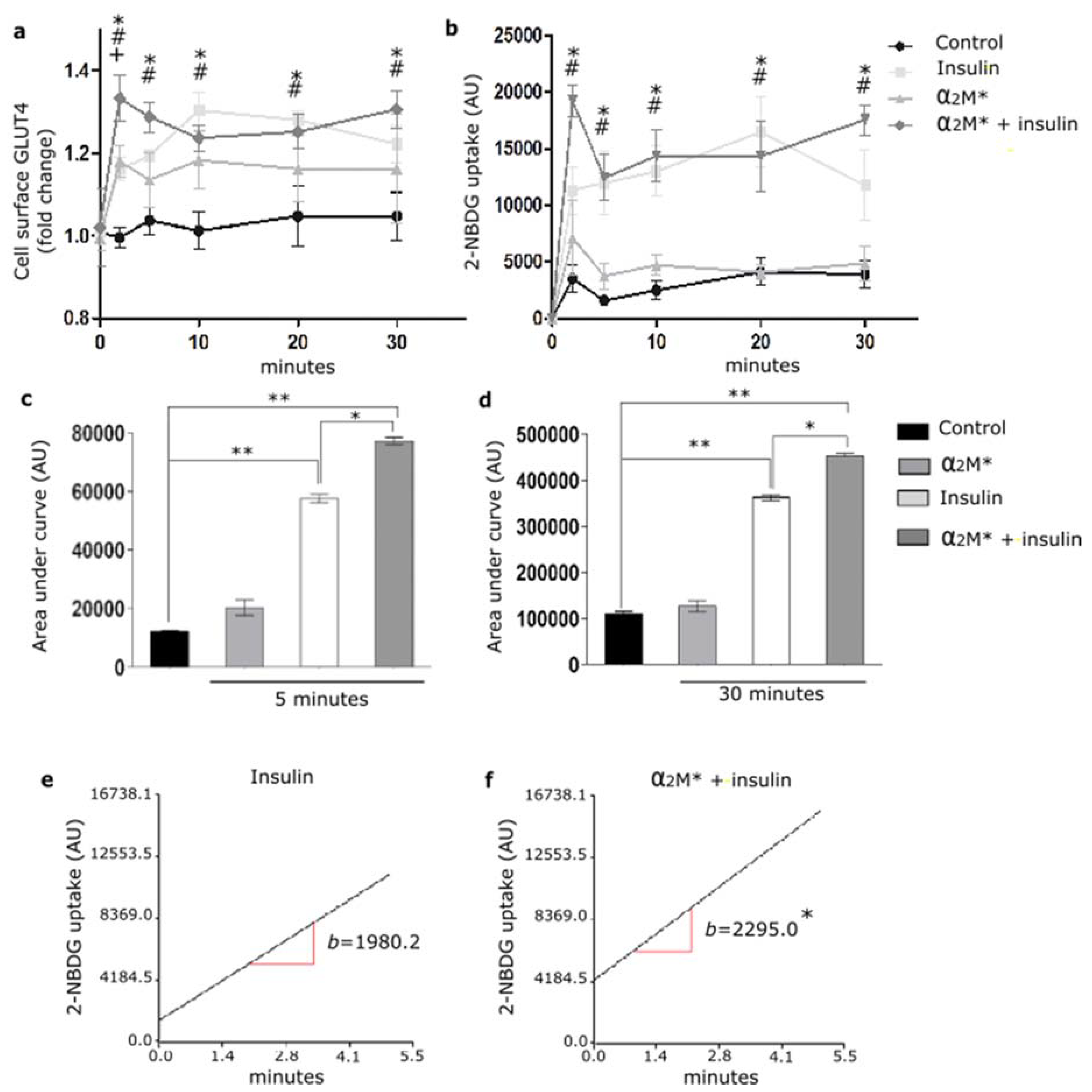 Ijms 22 06915 g004 Ijms 22 06915 g004